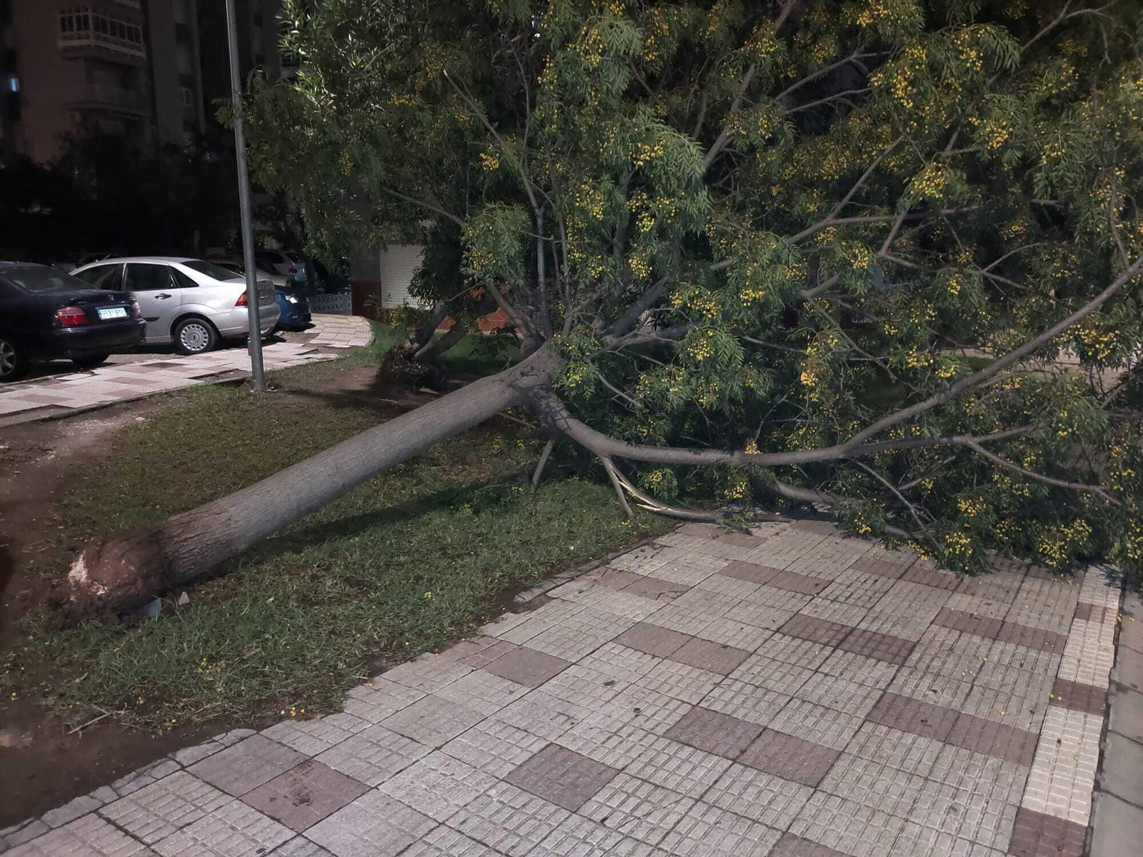 Borrasca Bernard en Algeciras