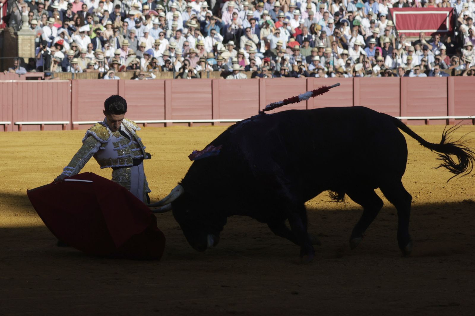 Las imágenes del festejo