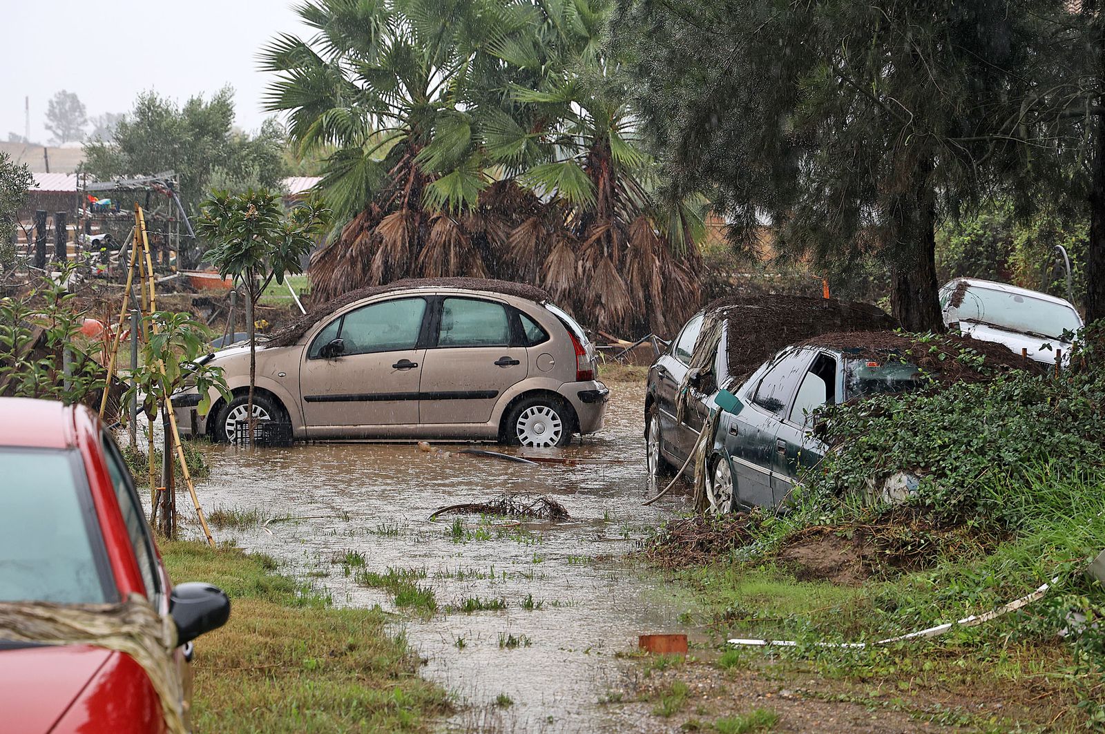 Las mejores imágenes del viernes 1 de noviembre en Huelva