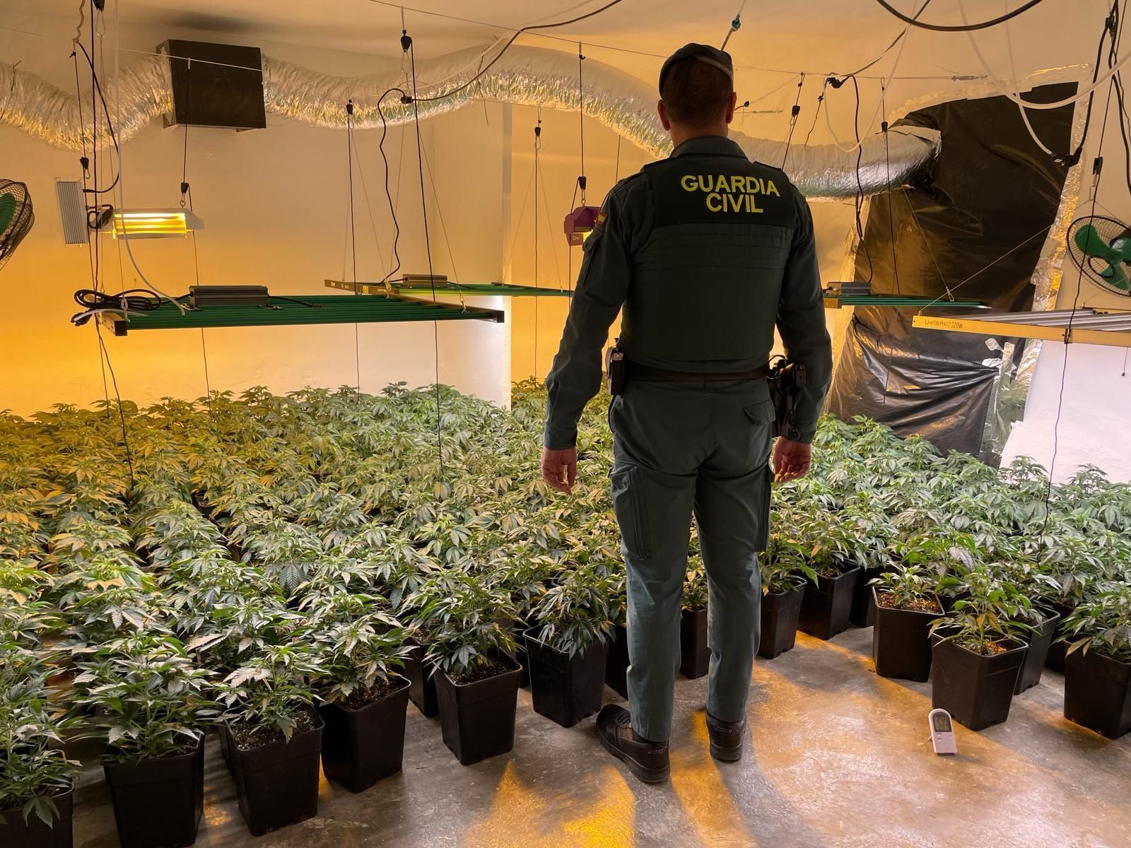 Agente de la Guardia Civil en una plantación de marihuana