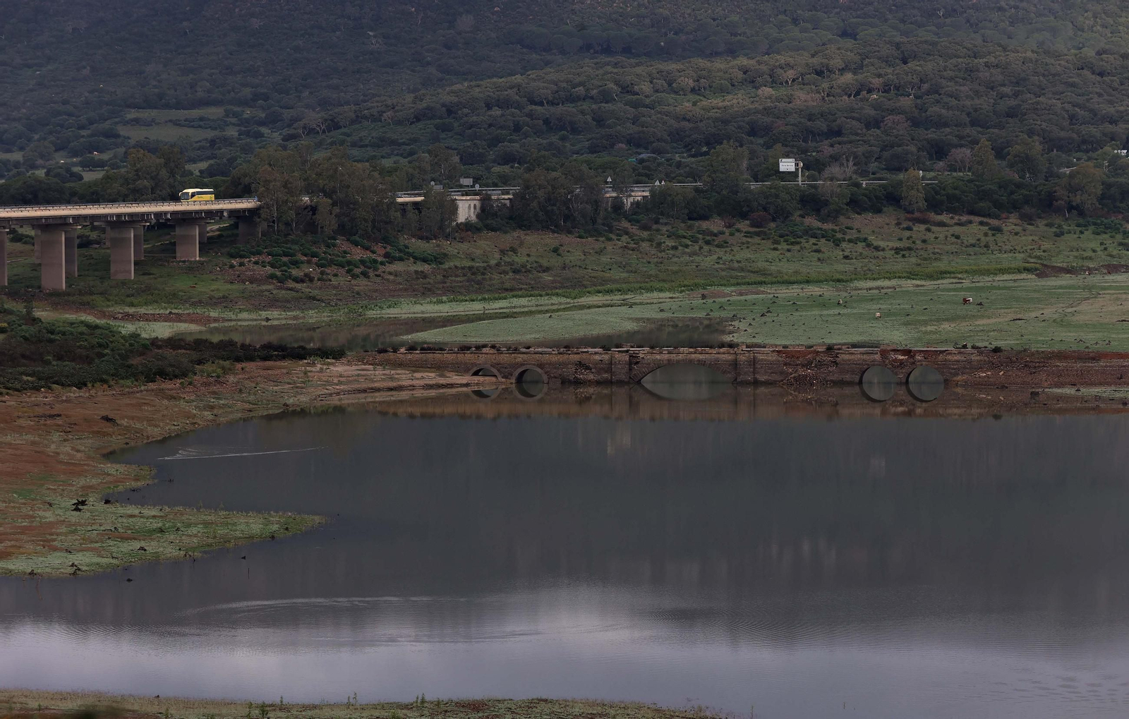 Fotos del pantano de Charco Redondo en Los Barrios