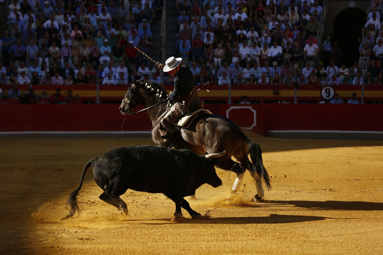 Las mejores imágenes del regreso a los ruedos de José Tomas en Granada Las mejores imágenes del regreso a los ruedos de José Tomas en Granada