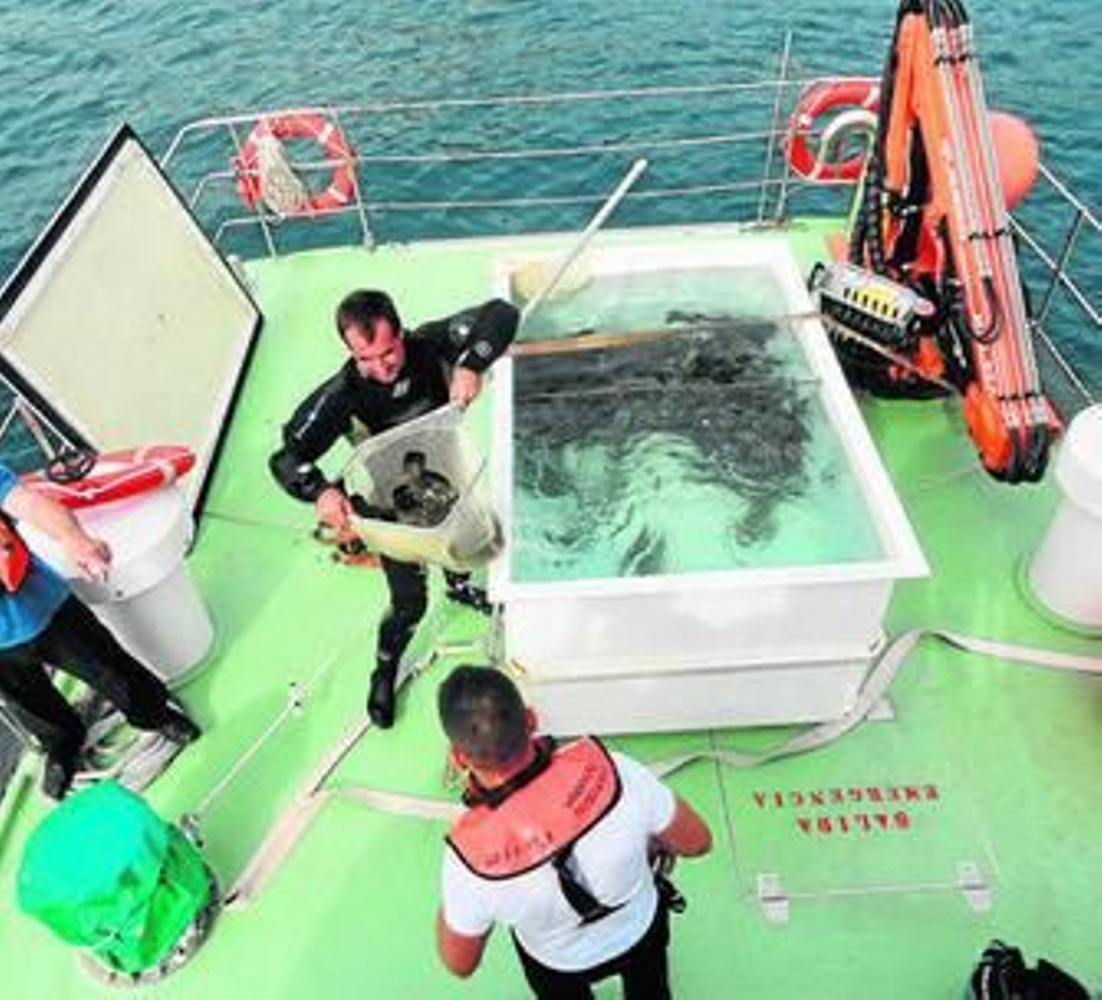 Liberan 32 meros con transmisores acústicos