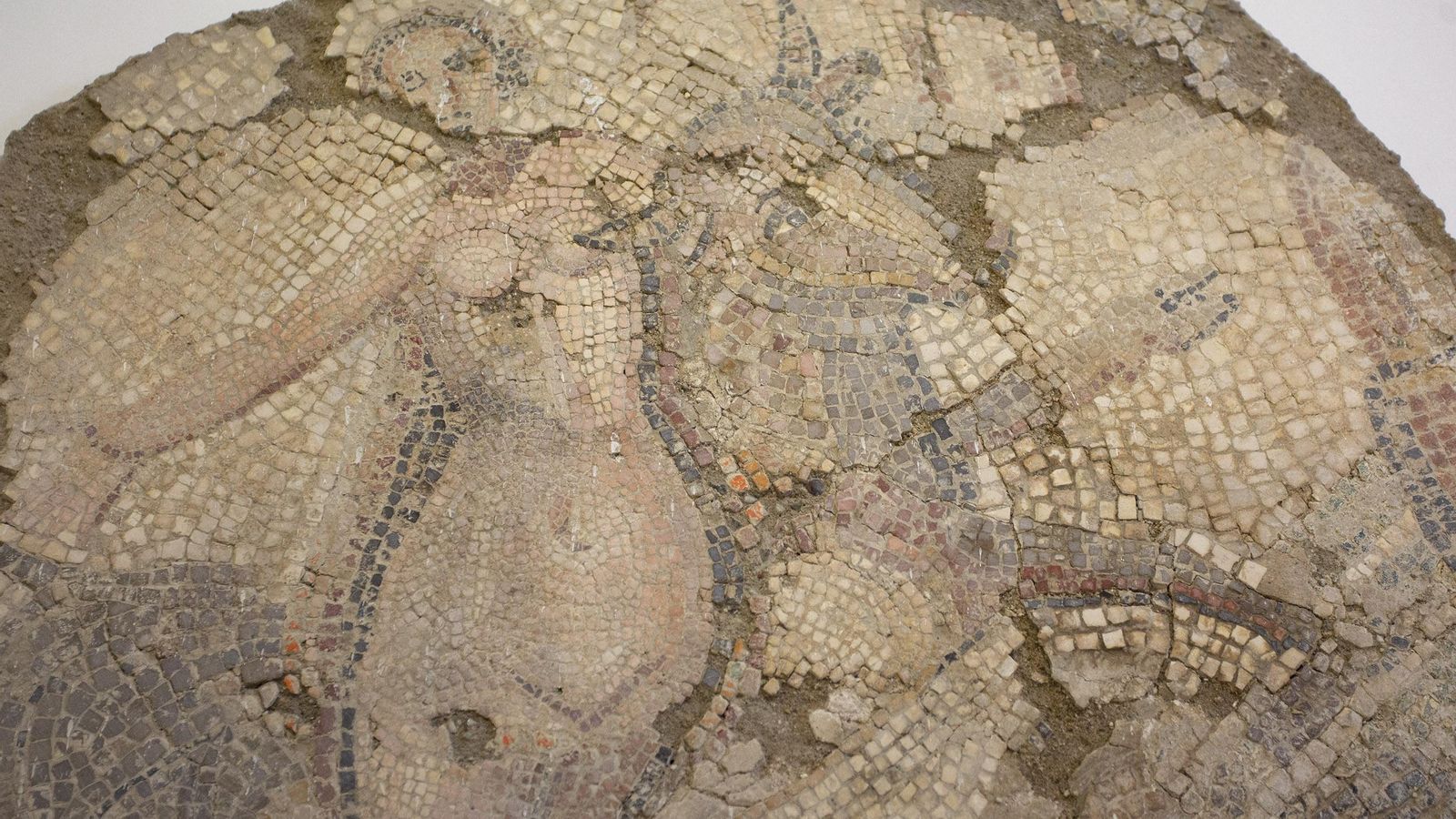 Europa recostada sobre el toro; el mosaico conserva restos de policromía.