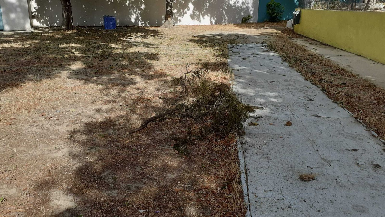 Estado en el que se encuentran los patios.