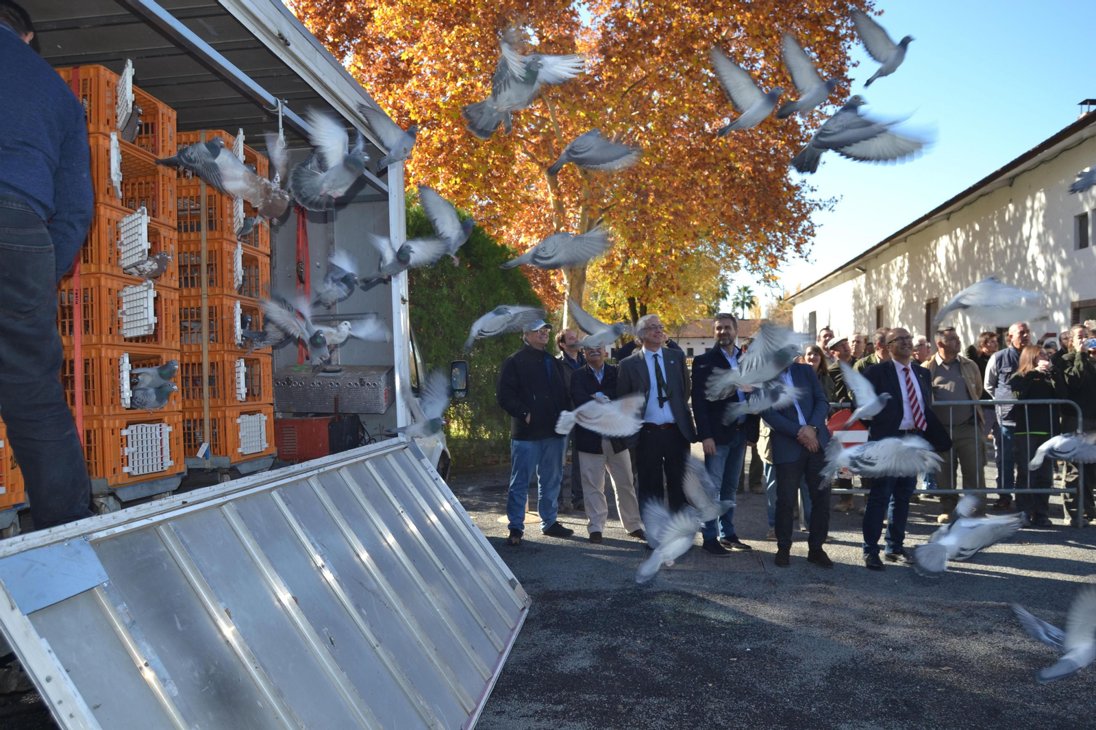 Suelta de palomas durante la inauguración de la muestra.