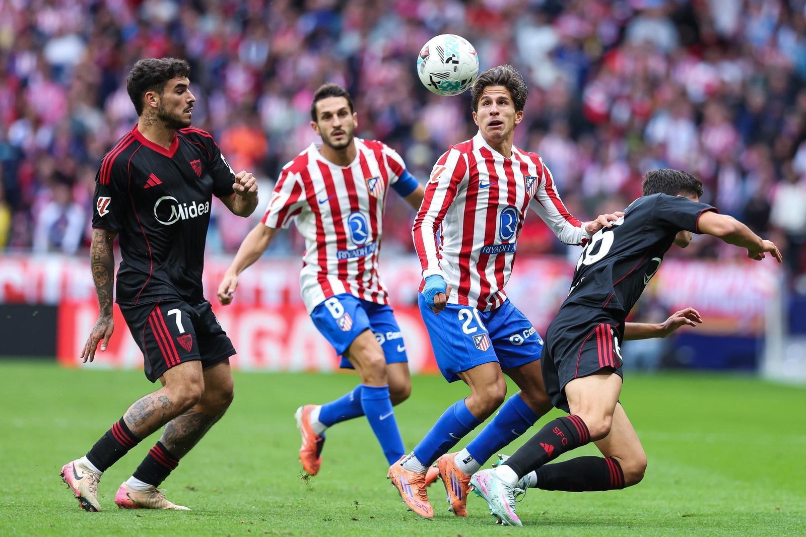 Las fotos del Atlético de Madrid-Sevilla