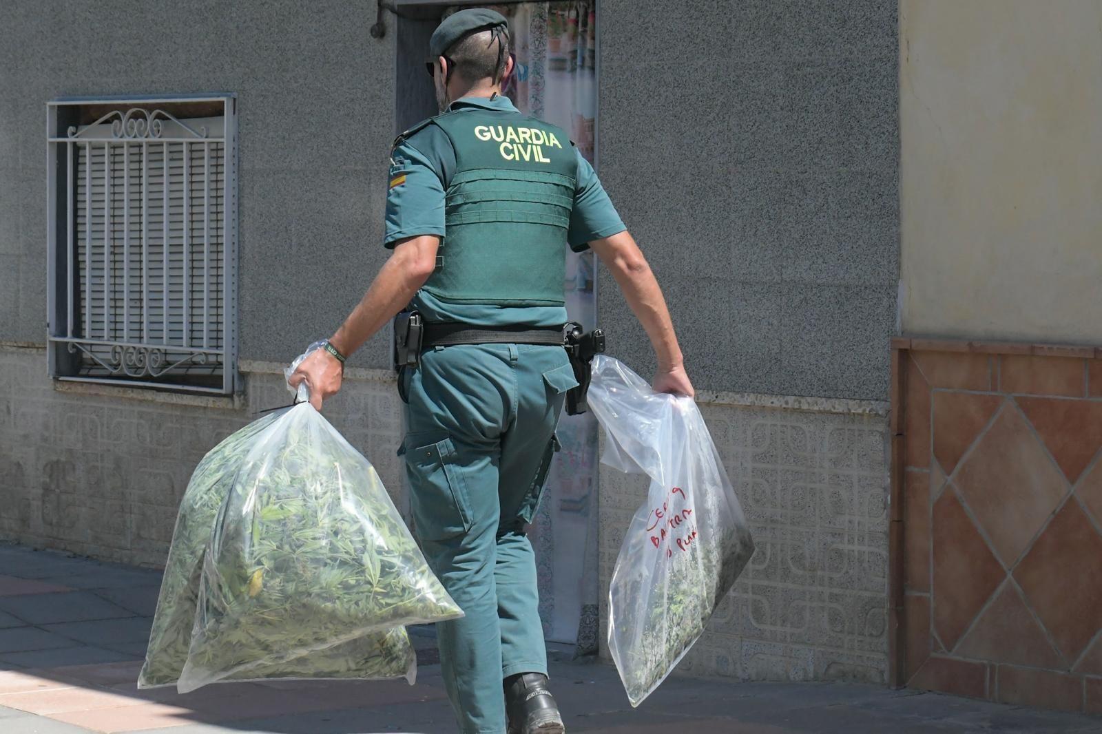 Fotos: así ha sido la operación contra el tráfico de marihuana en Pinos Puente