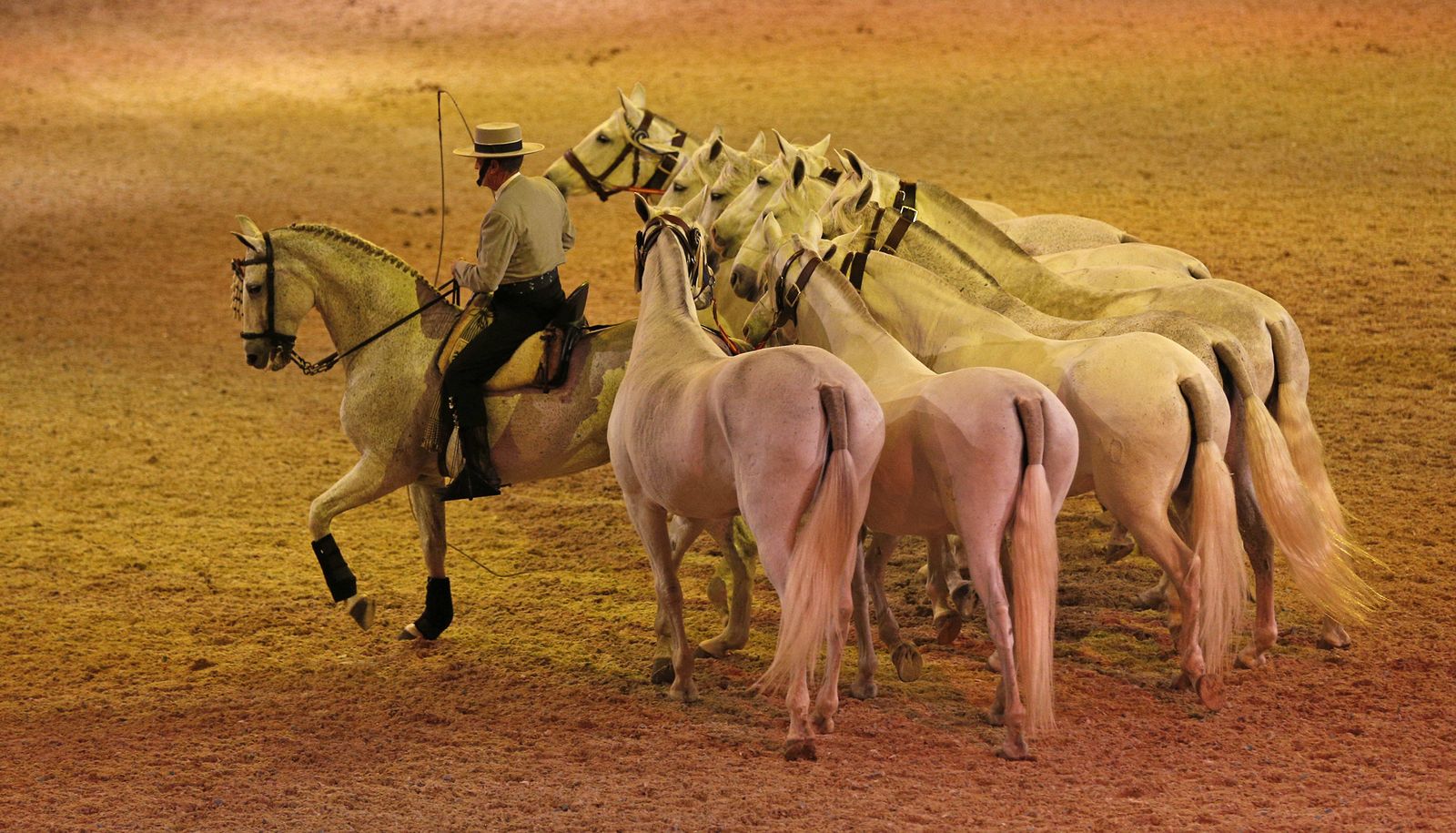 Inauguración de Sicab 2017