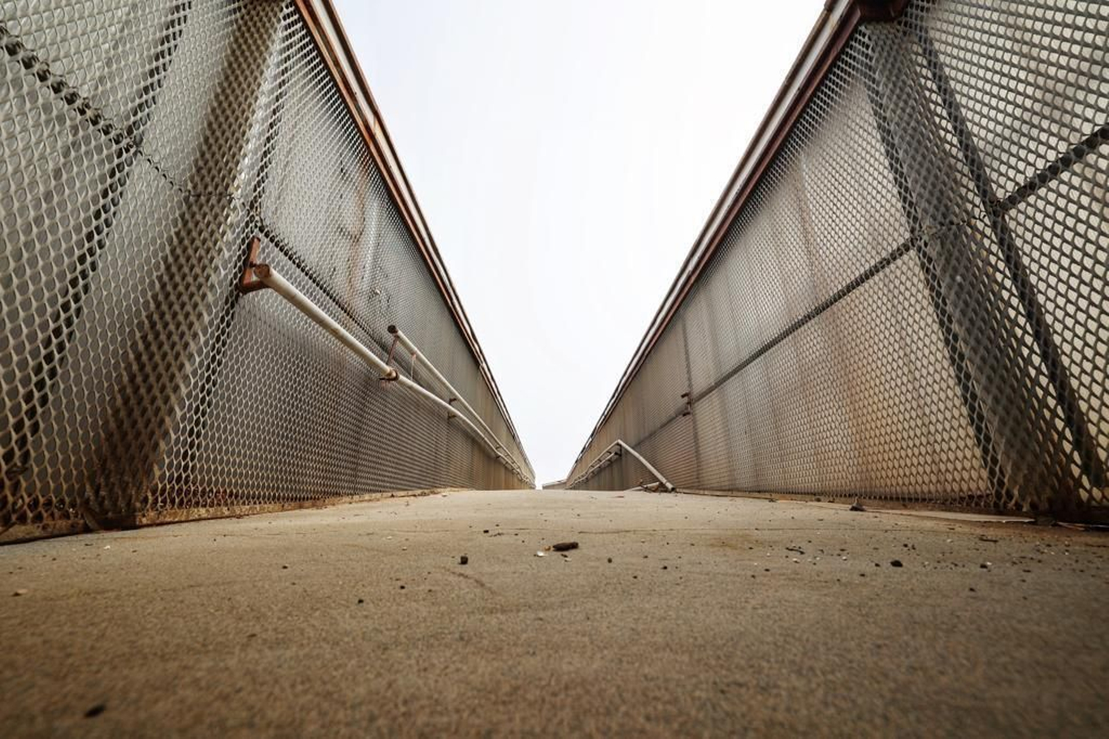 Imágenes del abandono de la pérgola del parque Genovés de Cádiz