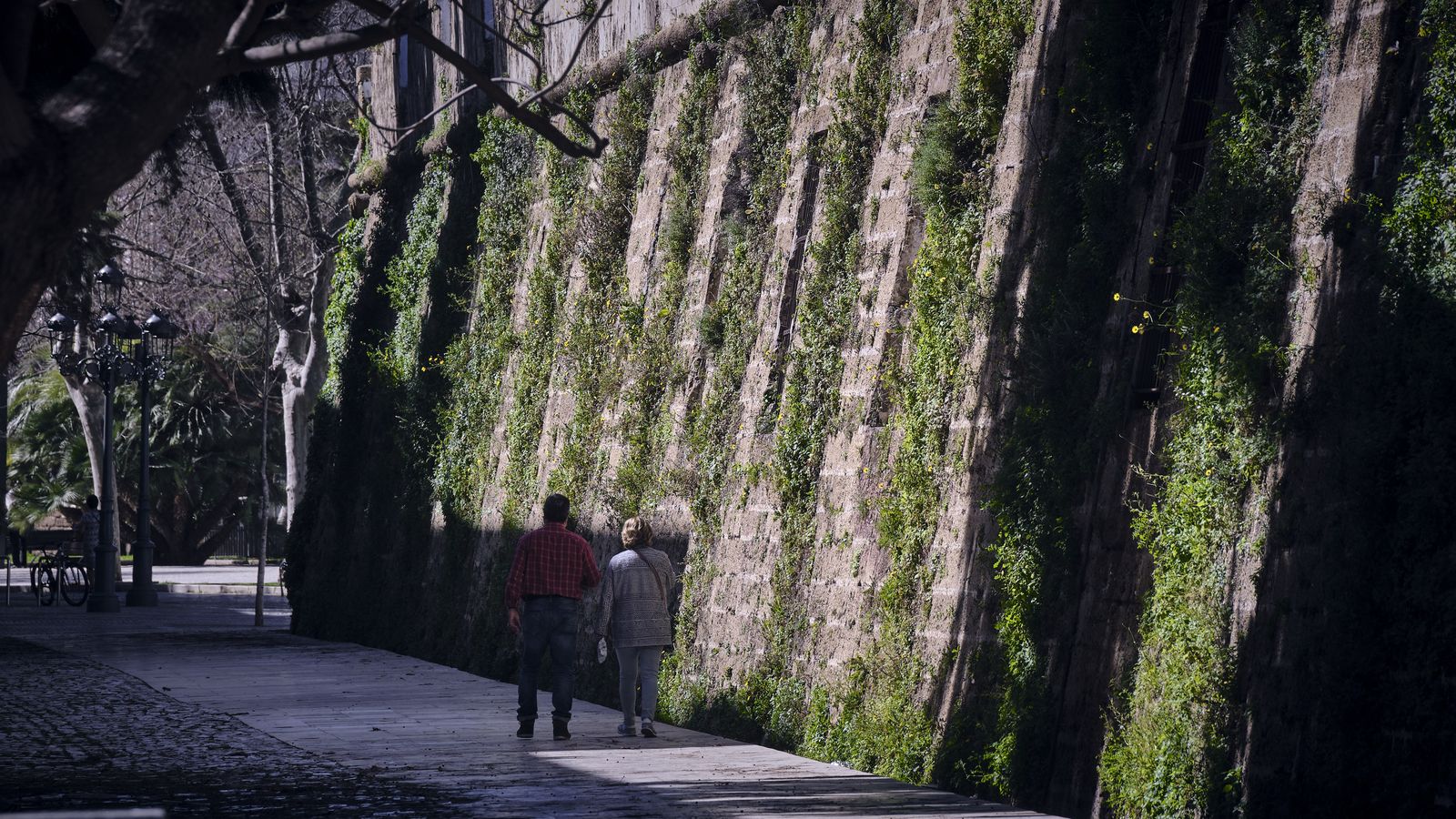 Murallas de San Carlos