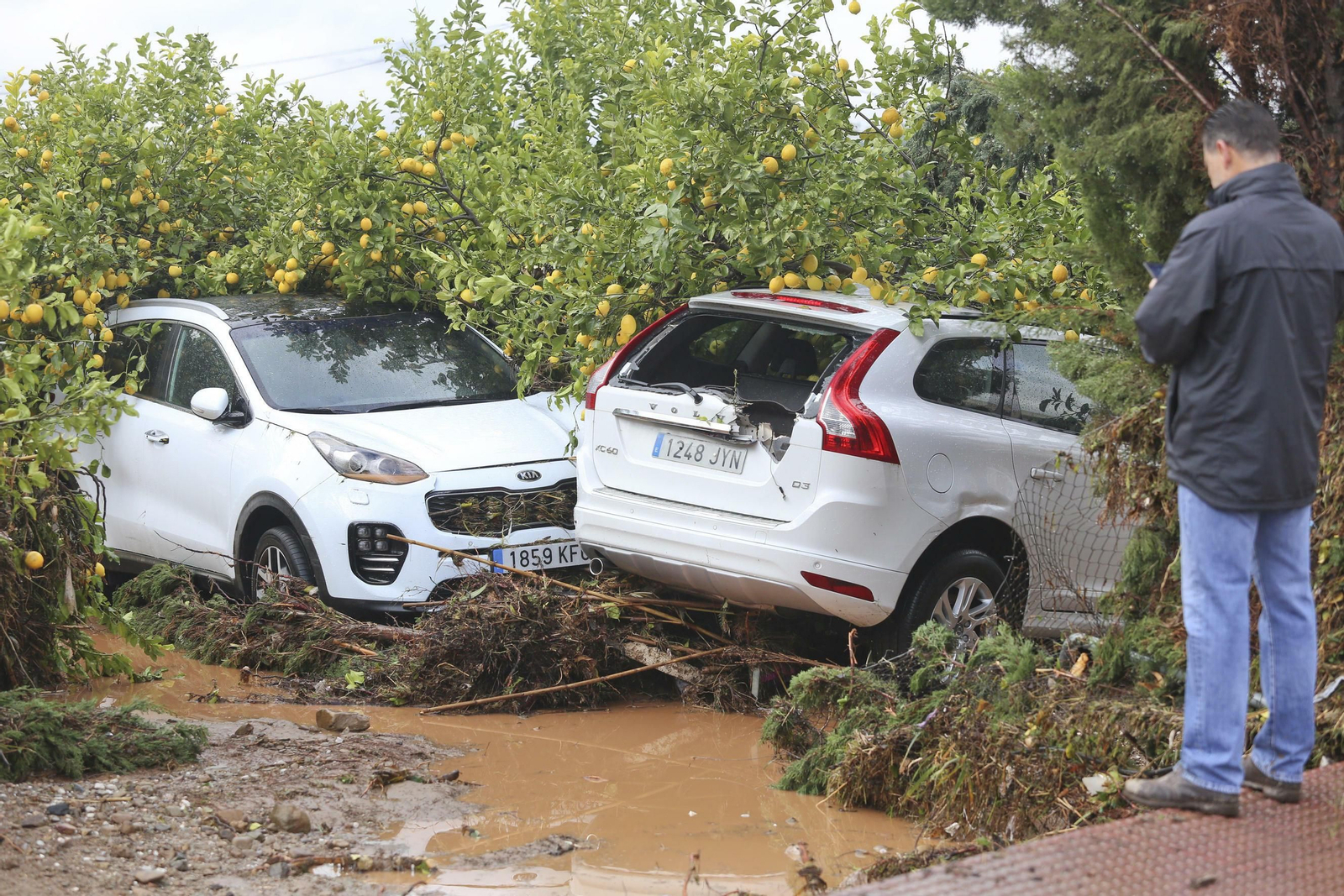 Las fotos de Campanillas inundada por el desbordamiento del río