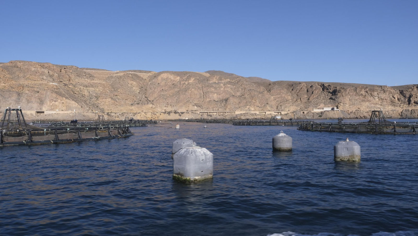La piscifactoría de El Cañarete, en imágenes
