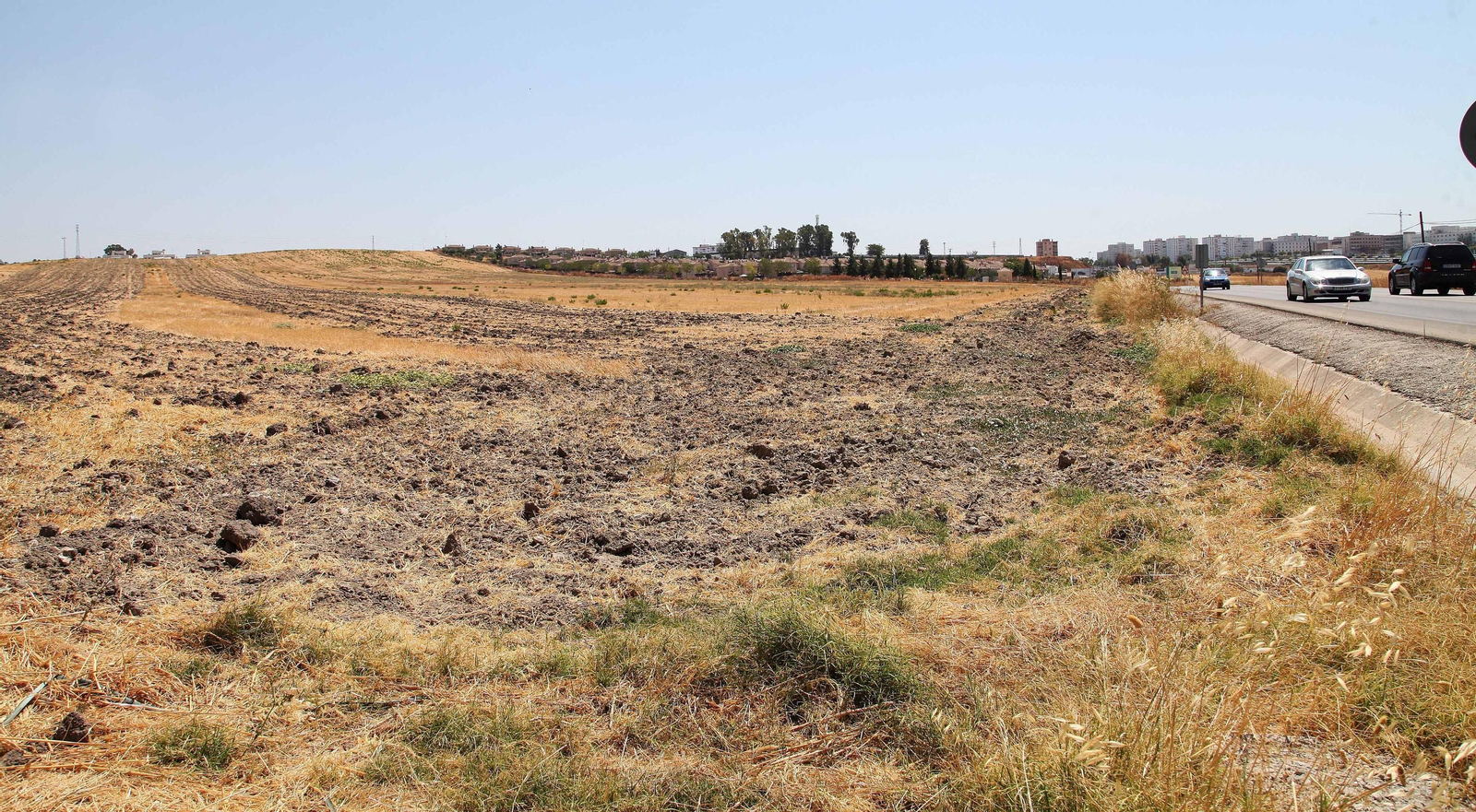Terrenos a pie de la carretera de Trebujena cuya puesta en carga fue suspendida. Terrenos a pie de la carretera de Trebujena cuya puesta en carga fue suspendida.