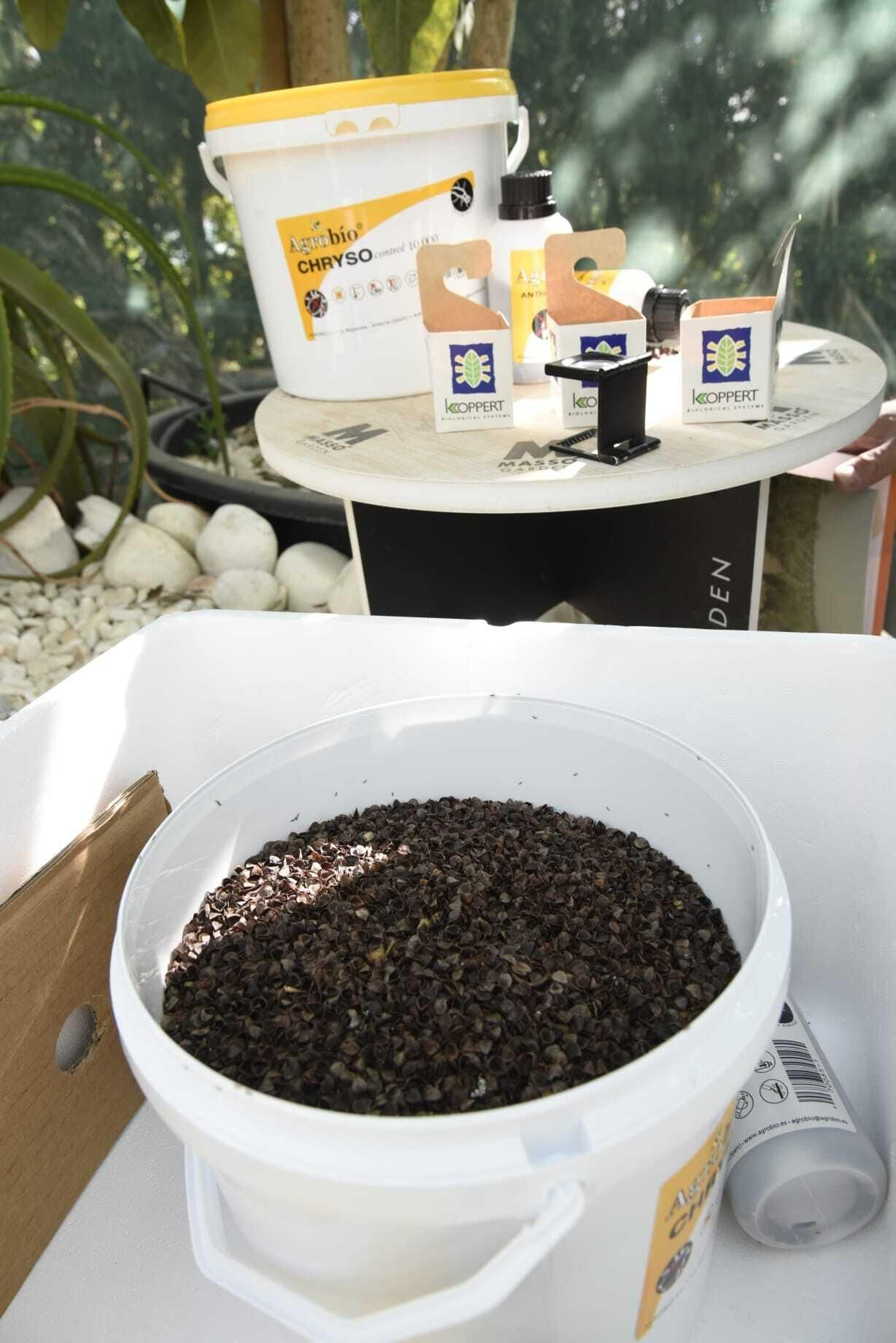 Productos que se usarán para el control de plagas.