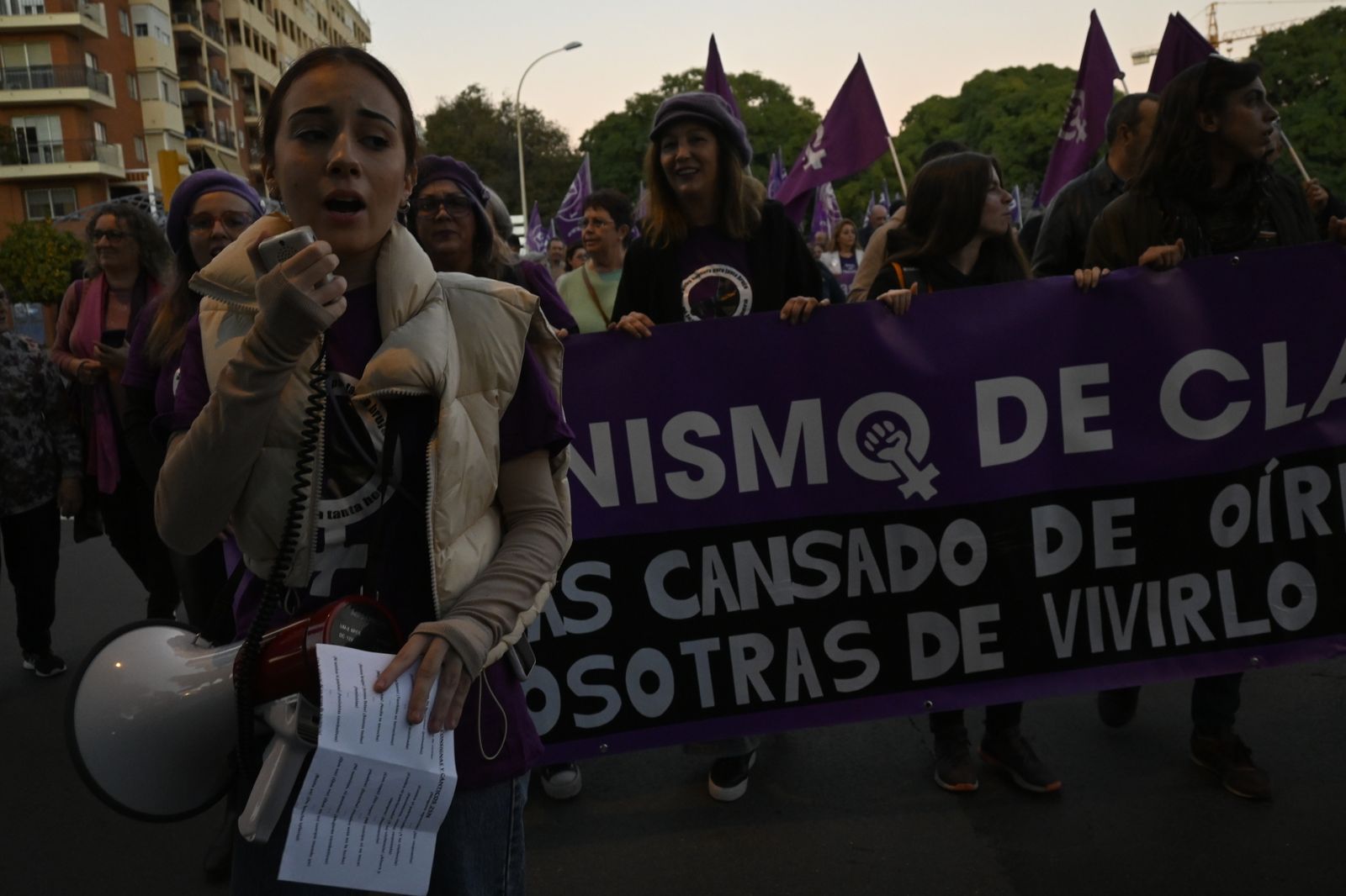 Manifestación del 25N en Imágenes.