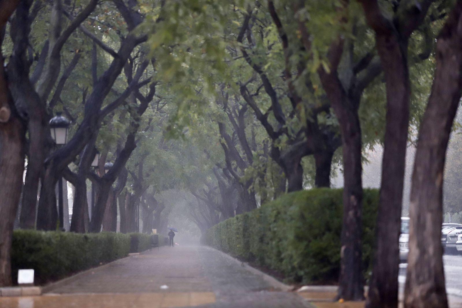 imágenes de la lluviosa mañana en Huelva