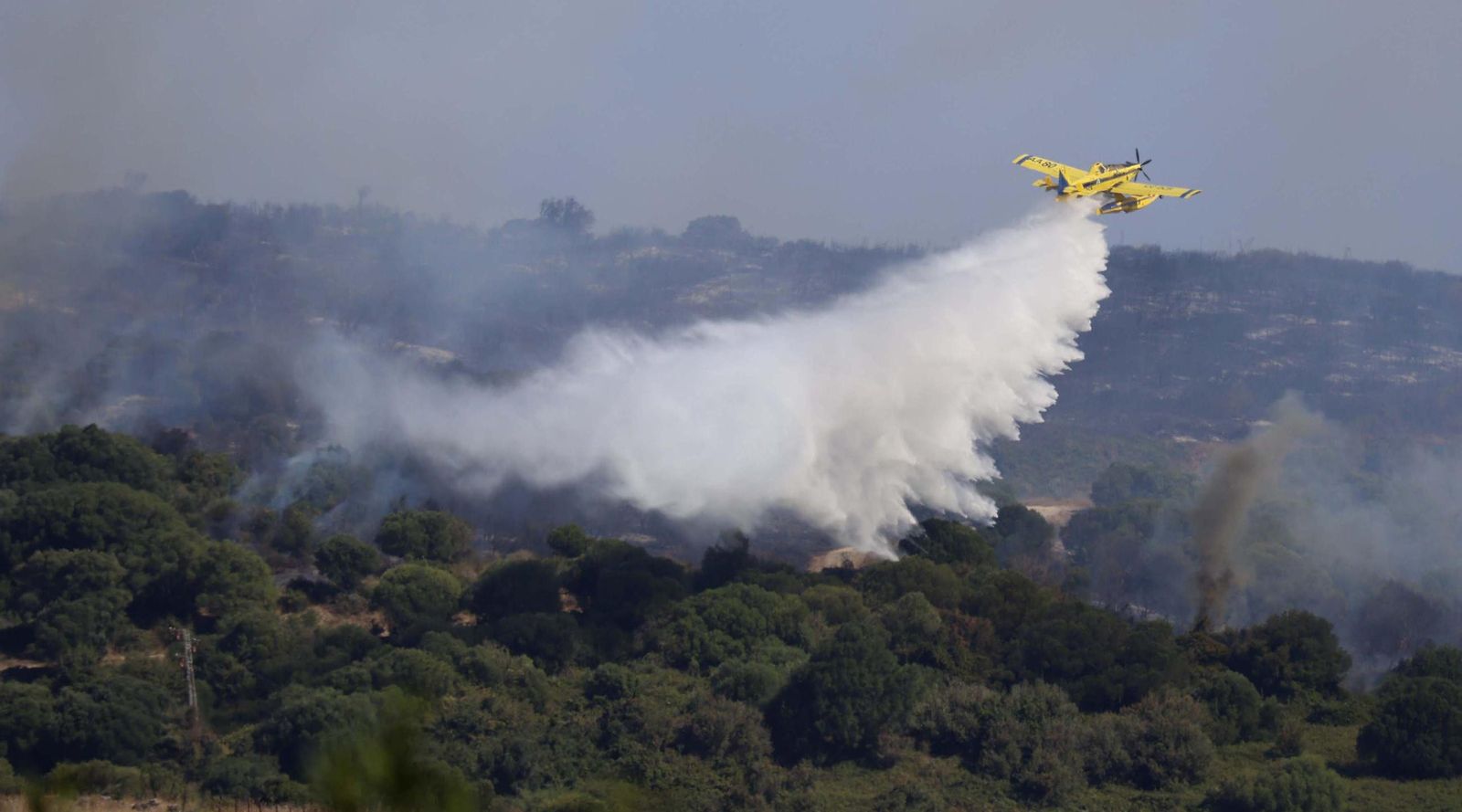 Las fotos del incendio forestal entre las Pantallas y Marchenilla, en Algeciras