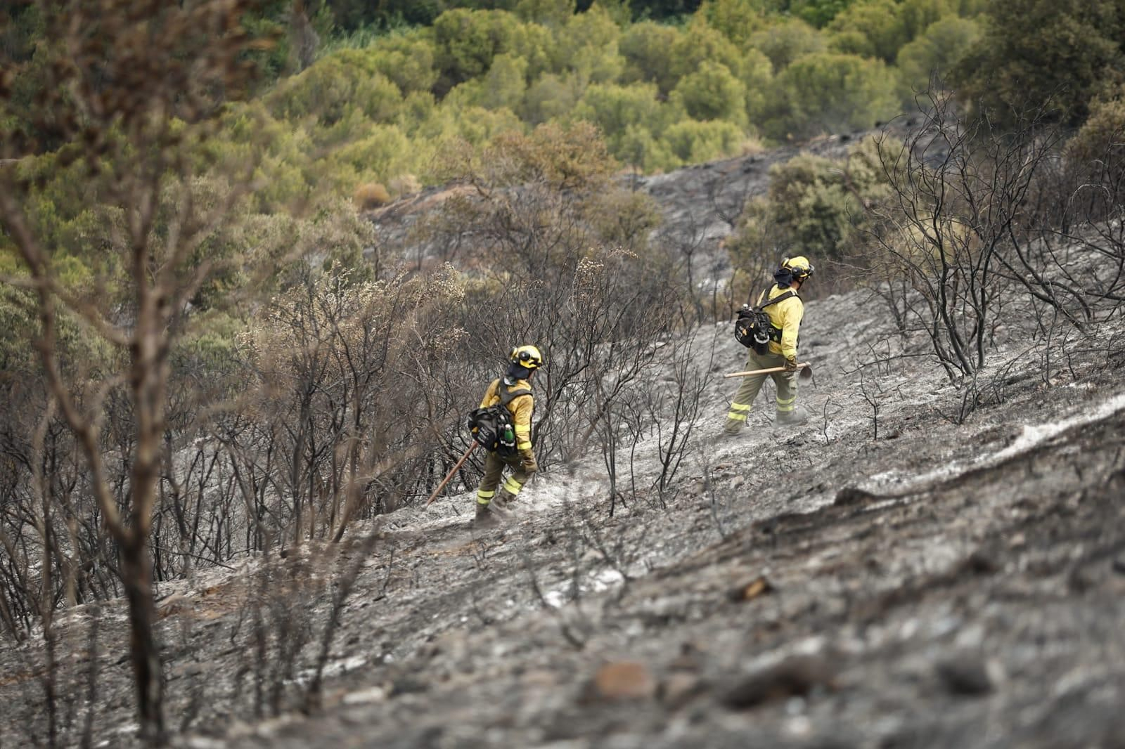 Las imágenes de la Fuente de la Bicha de Granada tras las llamas