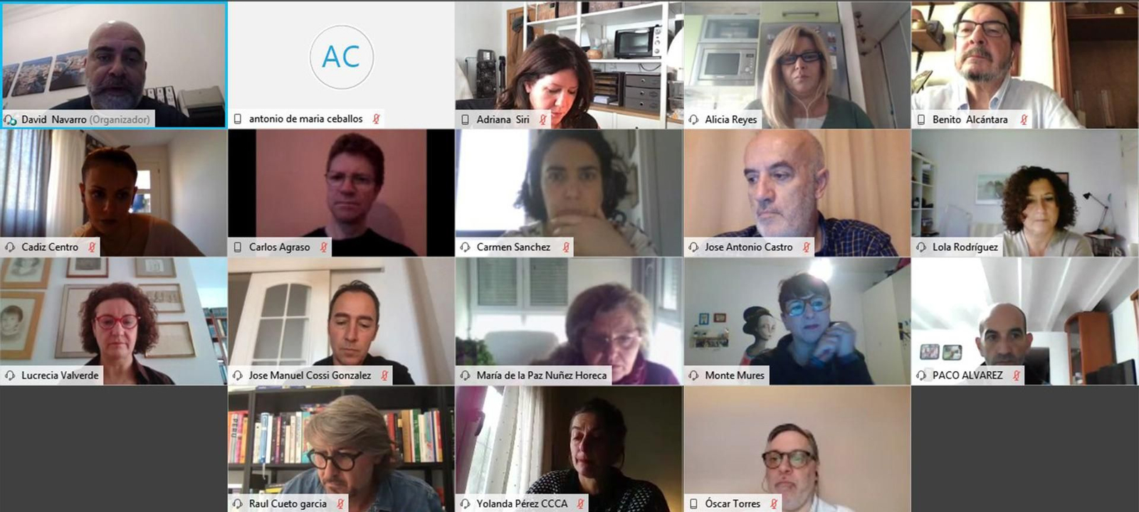 Un momento de la reunión vía telemática.