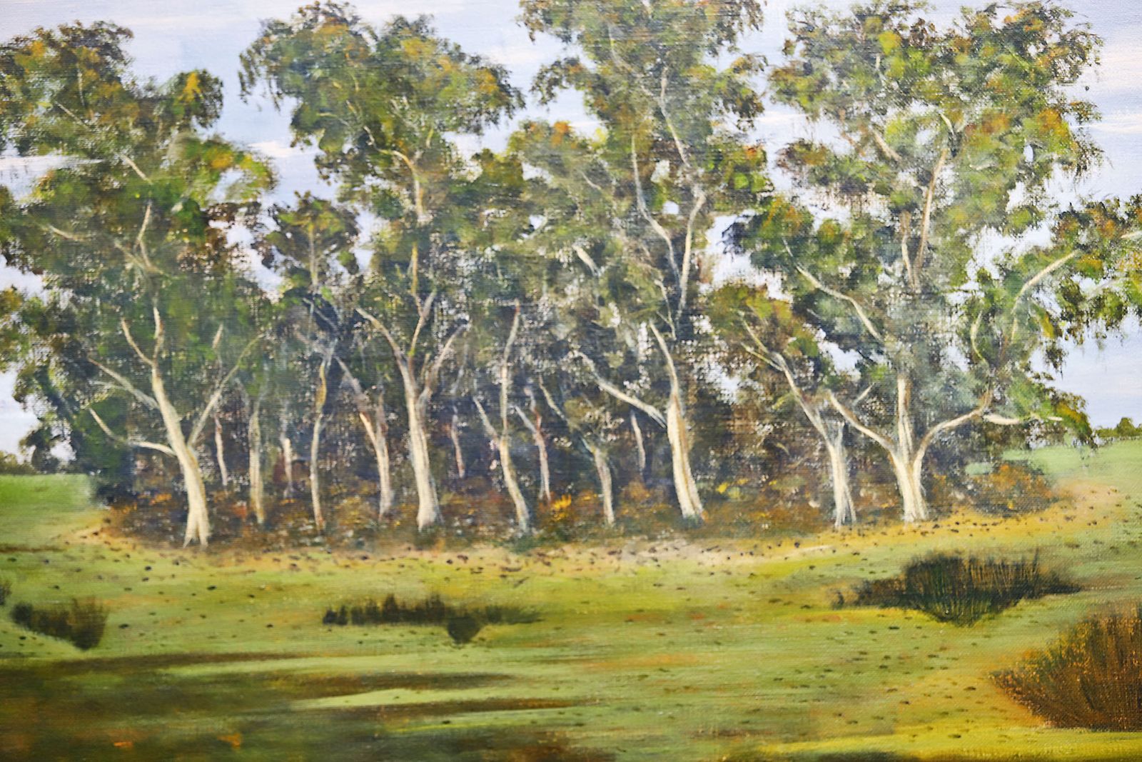 Imágenes de la inauguración de la exposición 'Pasajes y Paisajes de Doñana' de Juan VIlla