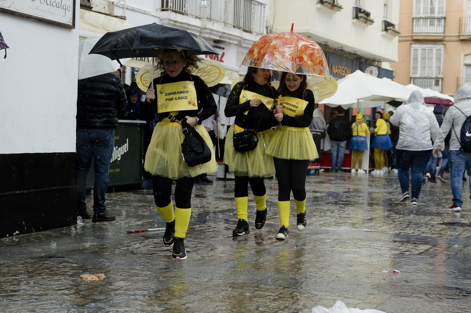 Las mejores imágenes del primer domingo de Carnaval de Cádiz
