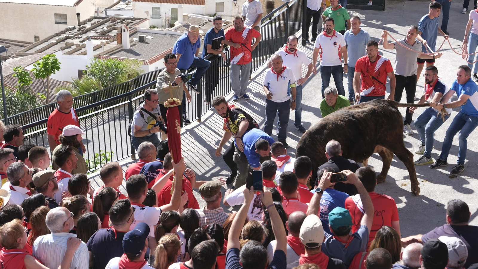 Imágenes de los toros ensogaos y San Marcos, en las Fiestas de Ohanes