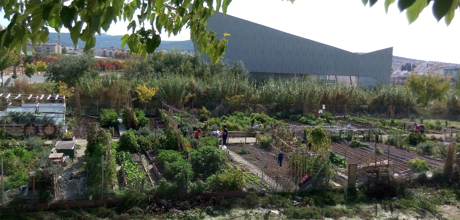 Huertos sociales en el entorno de la antigua Estación