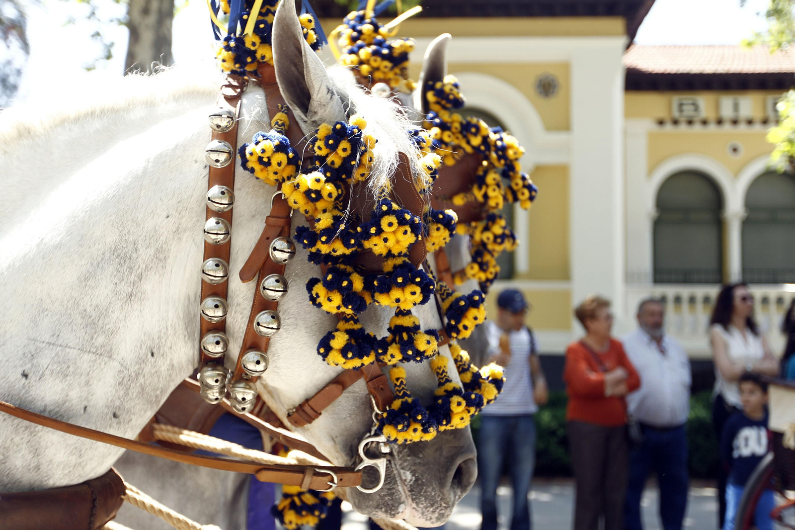 Aunque los caballos también enferman del virus del Nilo, no lo transmiten a humanos.