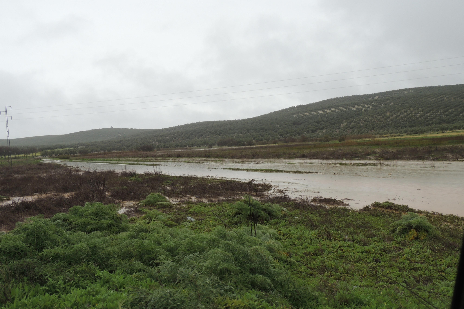 La laguna de Jarata, en Montilla. La laguna de Jarata, en Montilla.