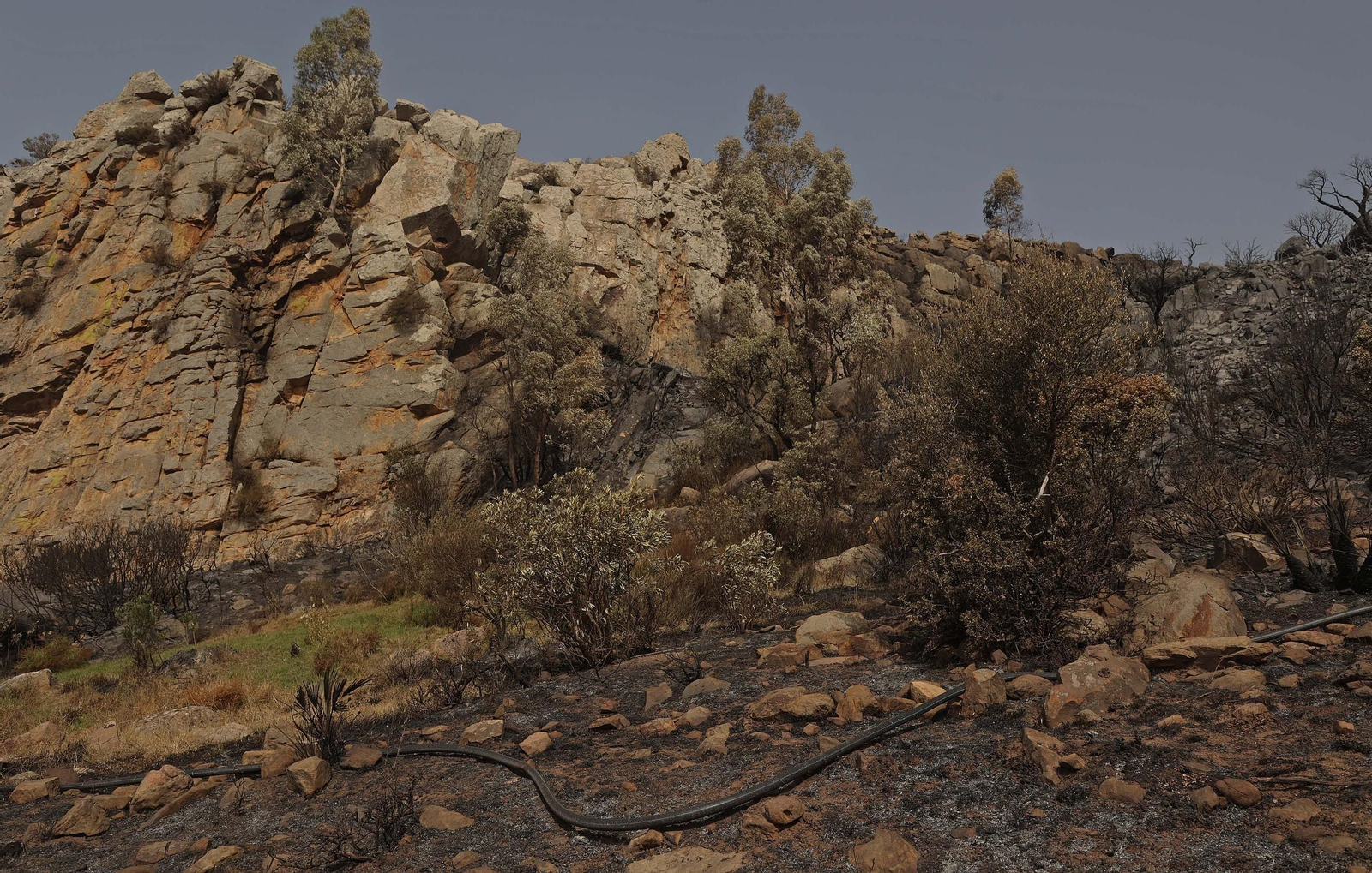 Fotos de los efectos del incendio en el monte de La Peña en Tarifa
