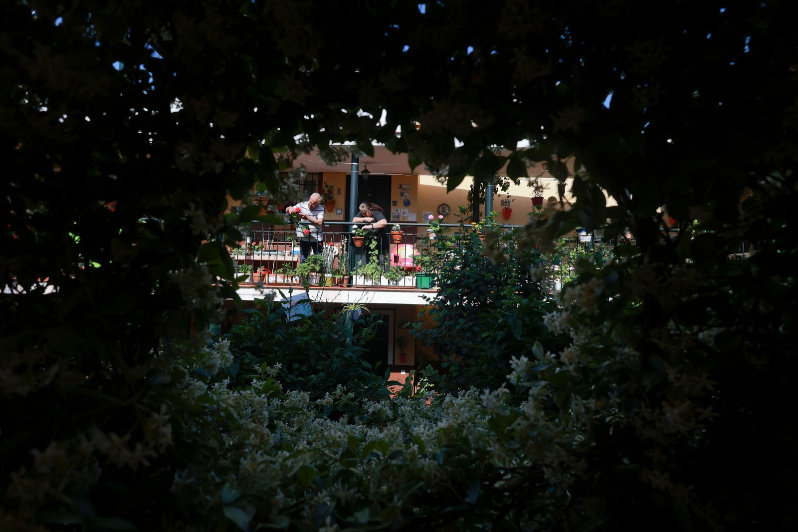 Los corralones de El Perchel y La Trinidad de Málaga, en fotografías
