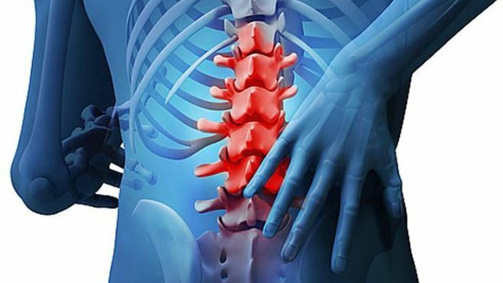 Las vértebras de la zona lumbar