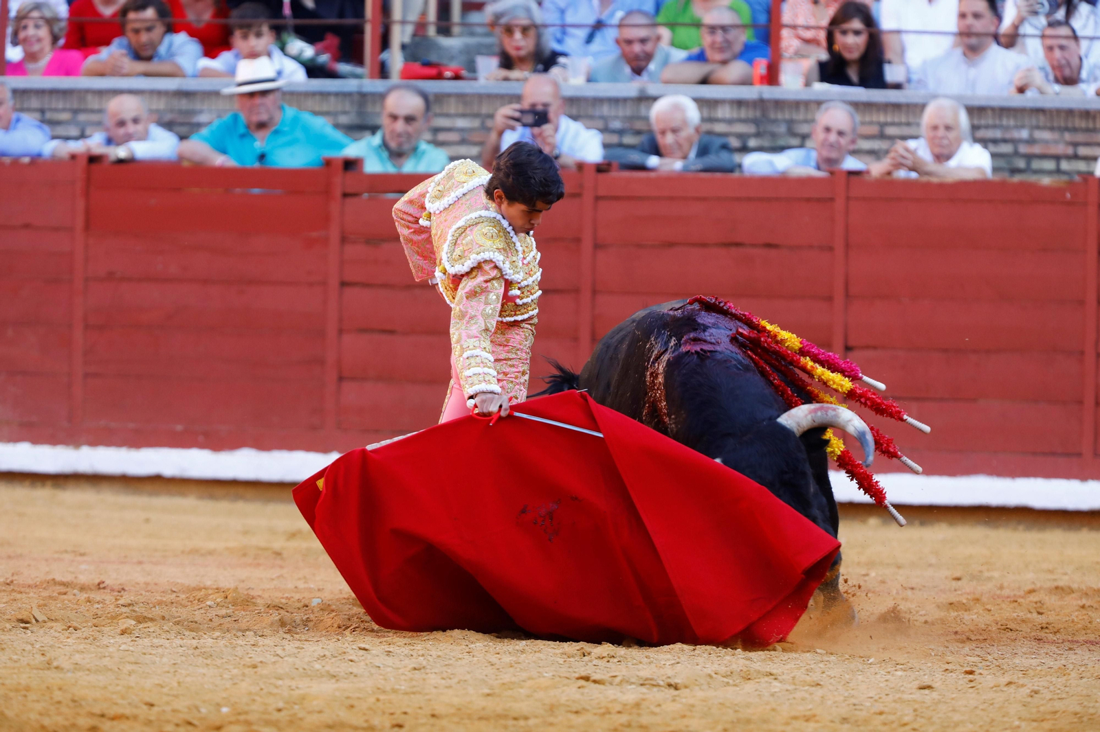 La presentación del novillero Manuel Román en Córdoba, en imágenes