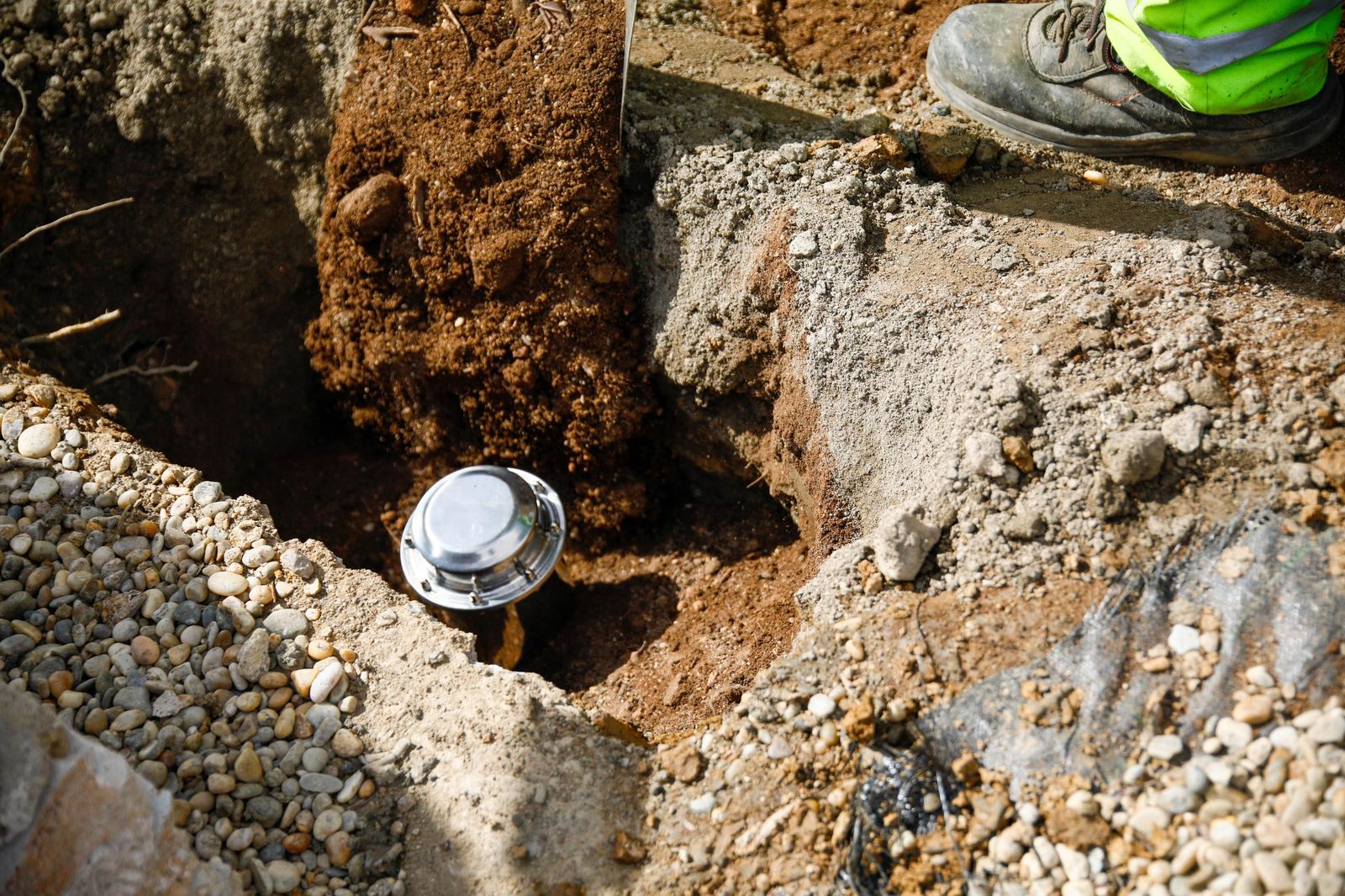 Las imágenes de la plantación de un olivo y el entierro de una cápsula del tiempo