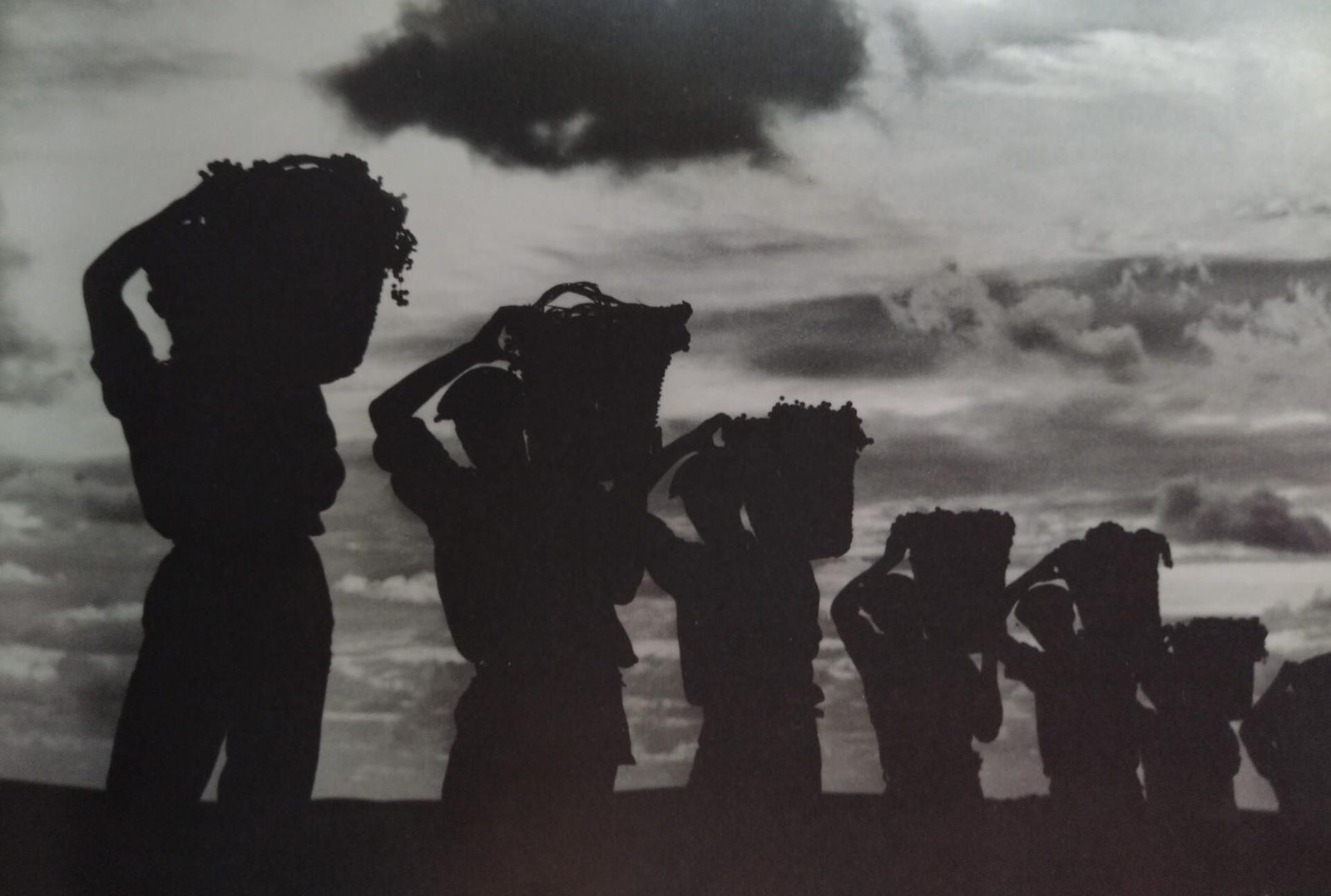 ‘Sinfonía’, obra del gran fotógrafo Eduardo Pereiras Hurtado.