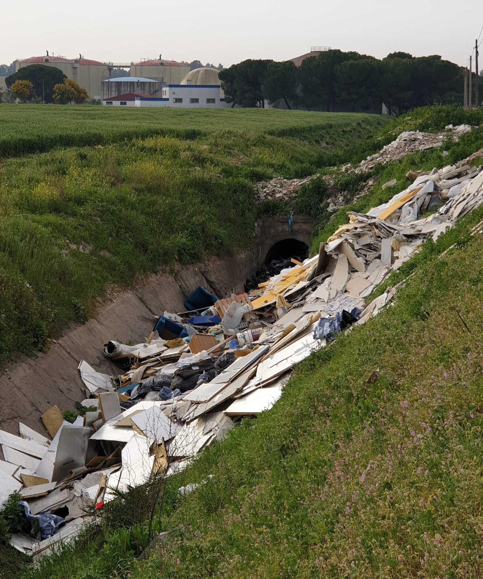Suciedad esparcida por la zona.