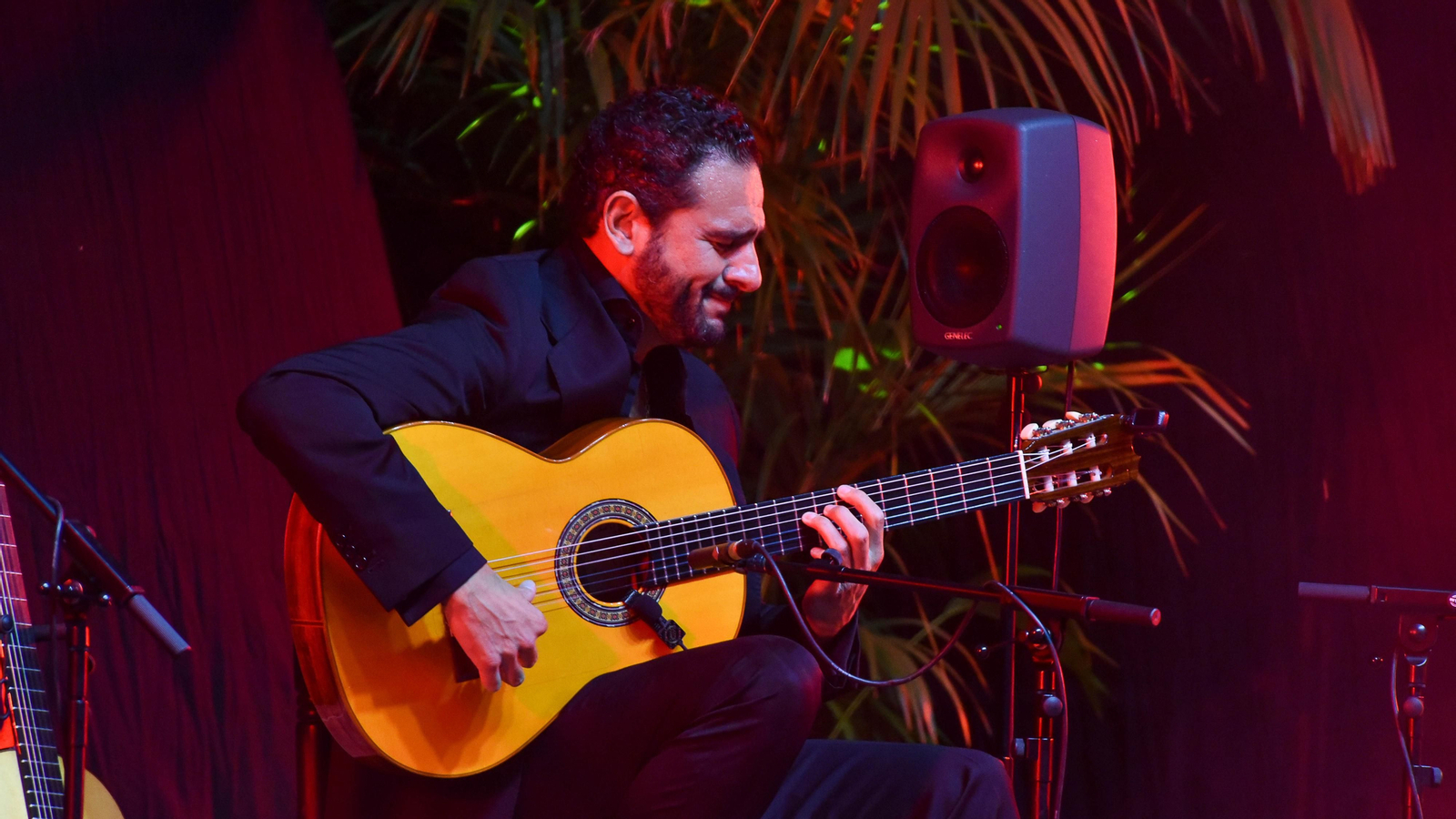 Fotos del concierto de Diego del Morao en el IX Encuentro Internacional de guitarra Paco de Lucía