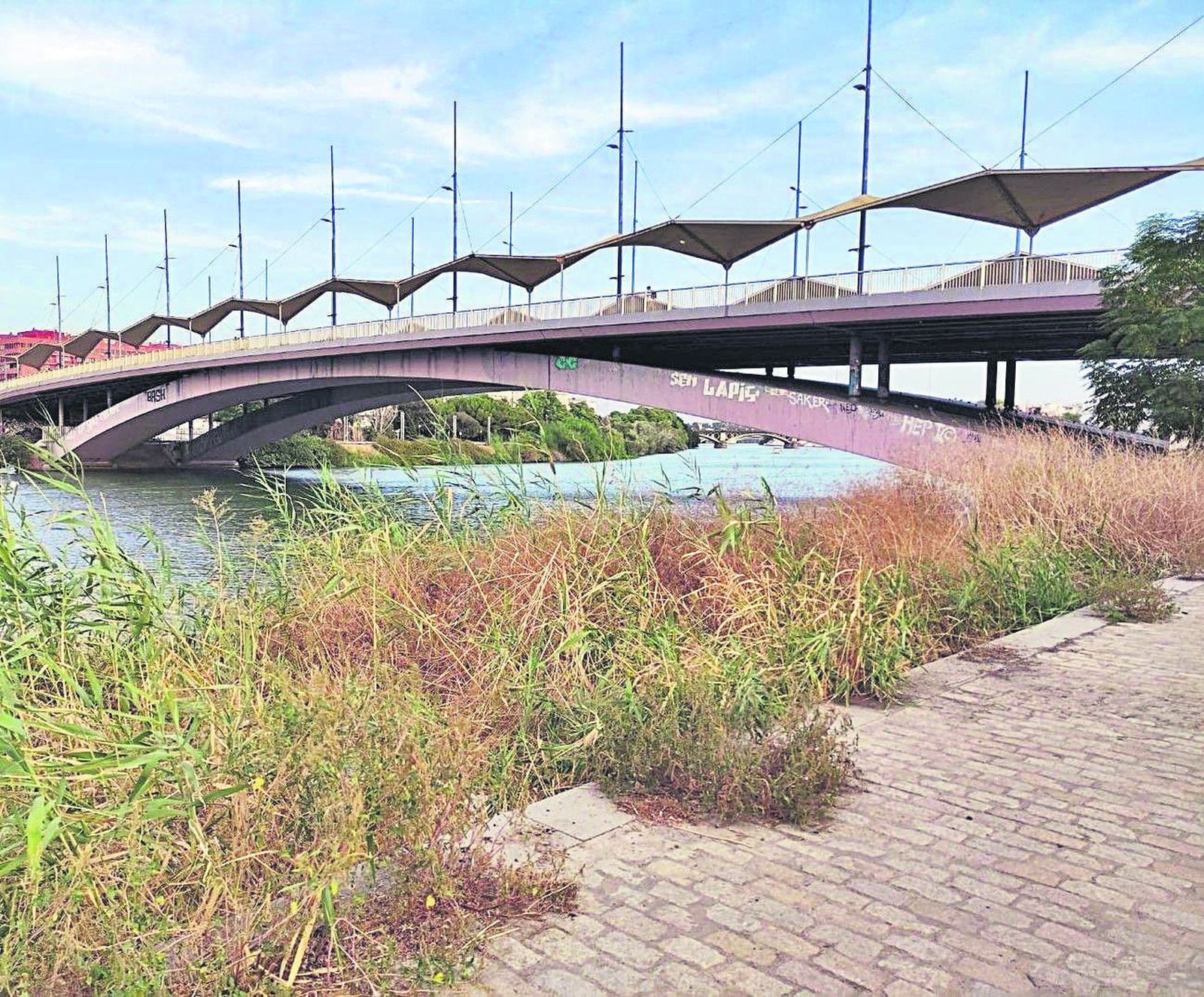 El puente del Cachorro, visto desde el Parque Magallanes.