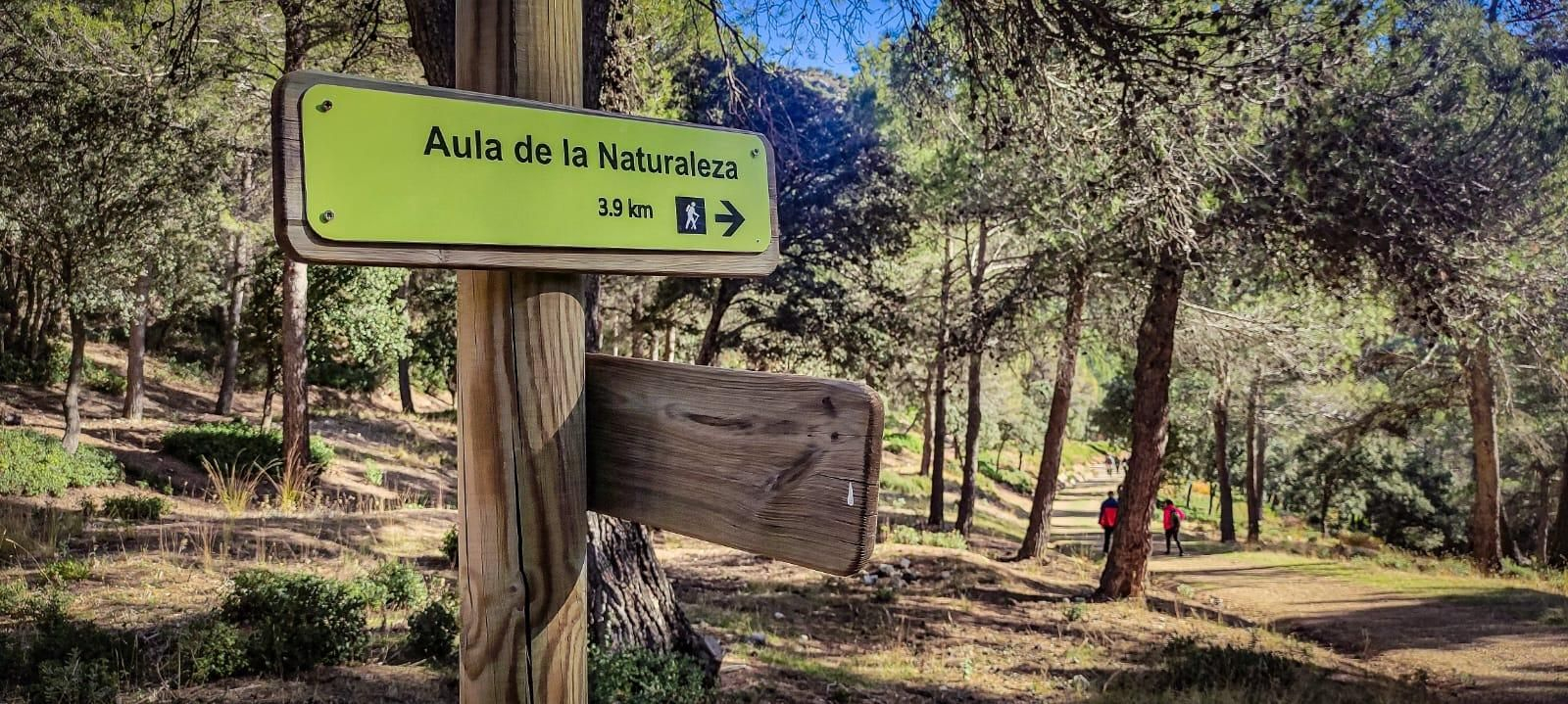 Ruta de senderismo con vistas a Sierra Nevada y la Sierra Sur: subida a la cumbre de Puerto Alto desde la Cañada de las Hazadillas