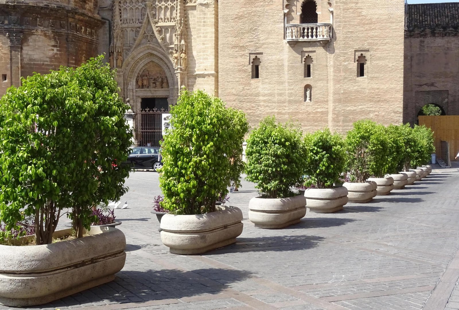 Macetones disuasorios en la plaza Virgen de los Reyes, junto a la puerta de los Palos de la Catedral.