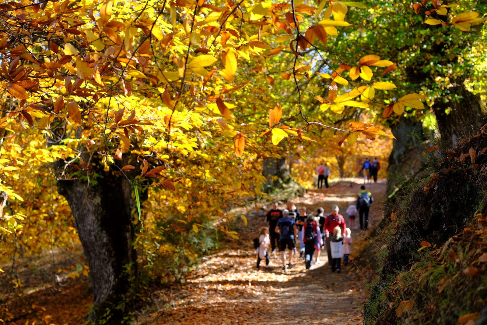 Personas realizan la ruta de senderismo por Pujerra.