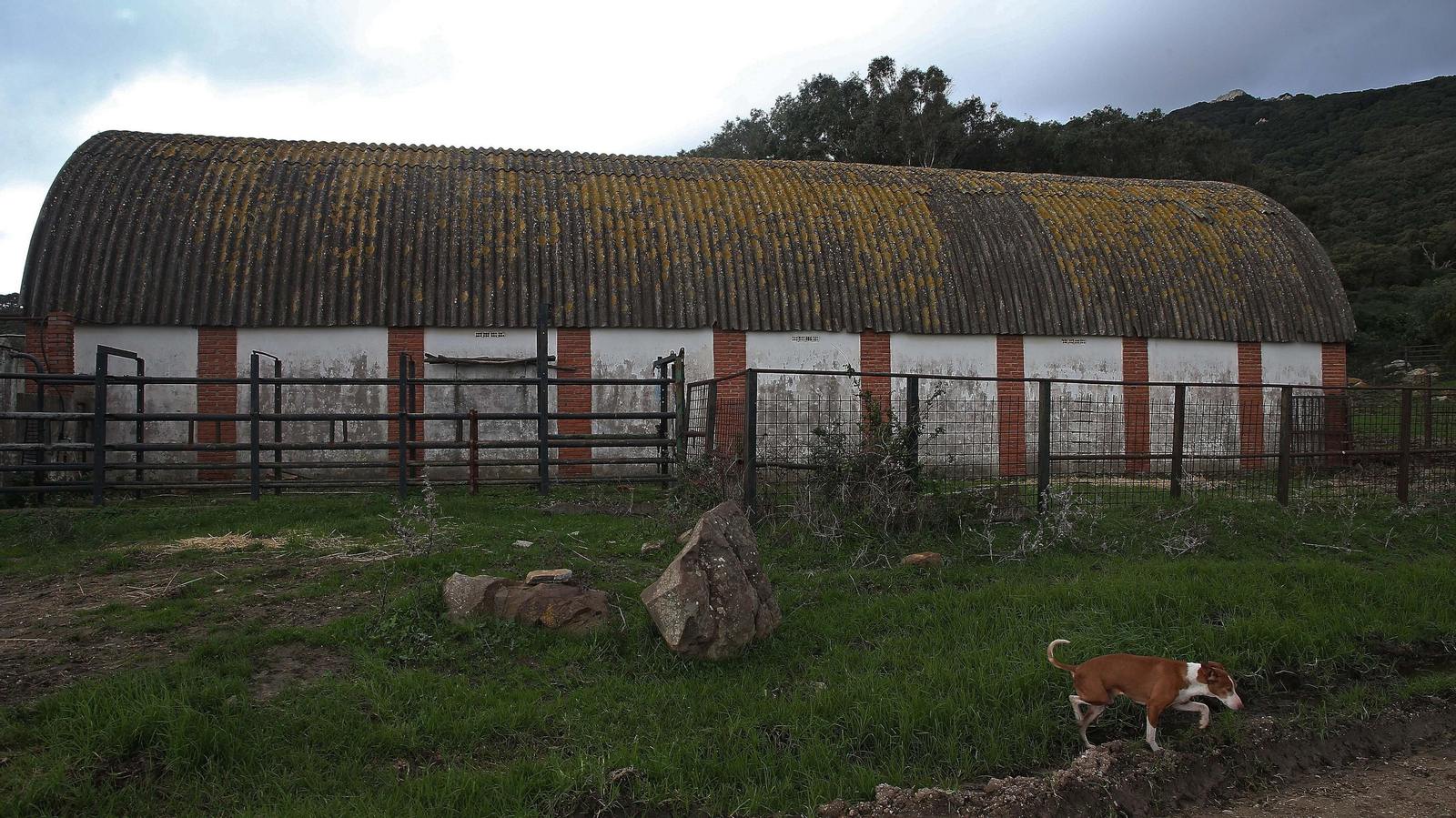 Fotos del sendero del Cerro del Tambor en Algeciras