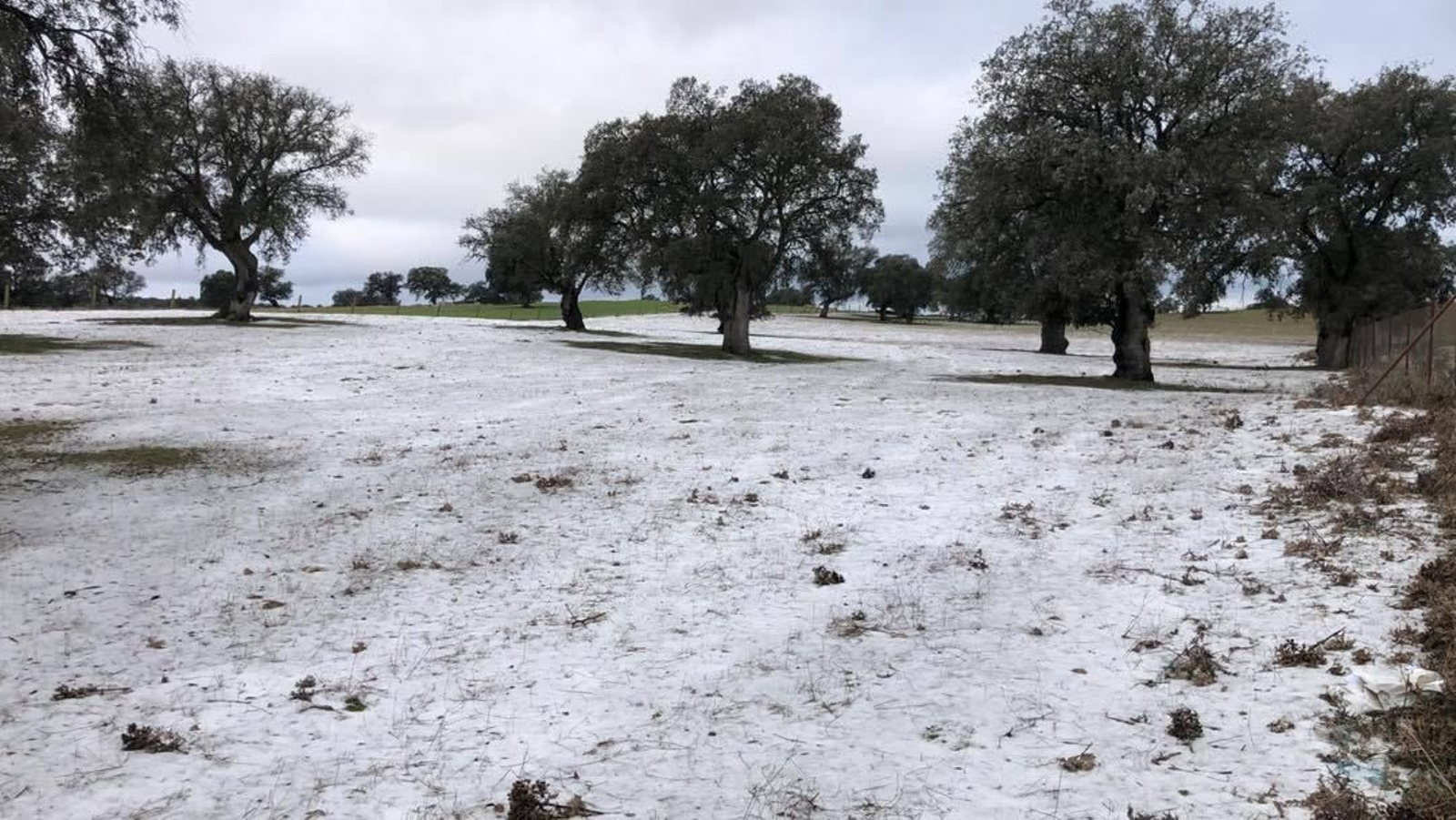 Manto de nieve en Añora. Manto de nieve en Añora.