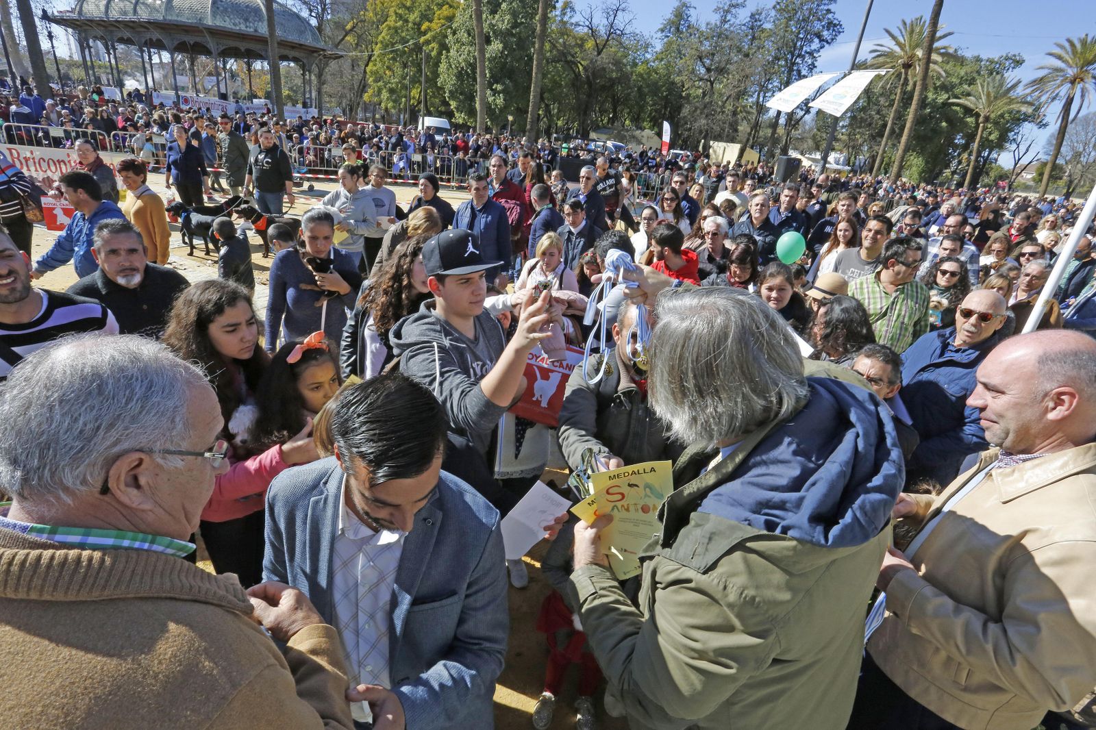 Las imágenes de la fiesta de San Antón