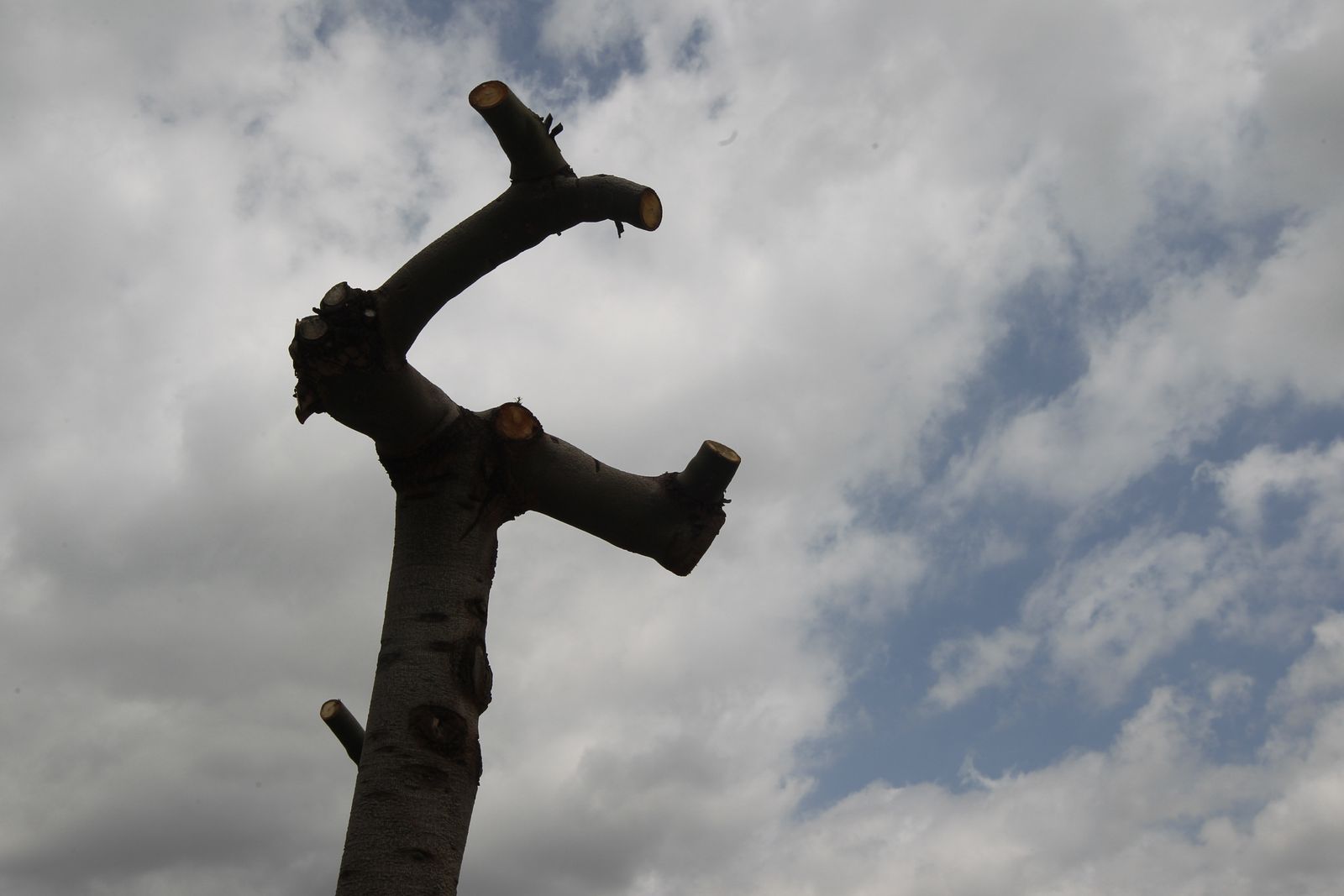 Fotogalería de la Procesión a la Ermita del Cerro de San Blas. Fiestas de Canjáyar.
