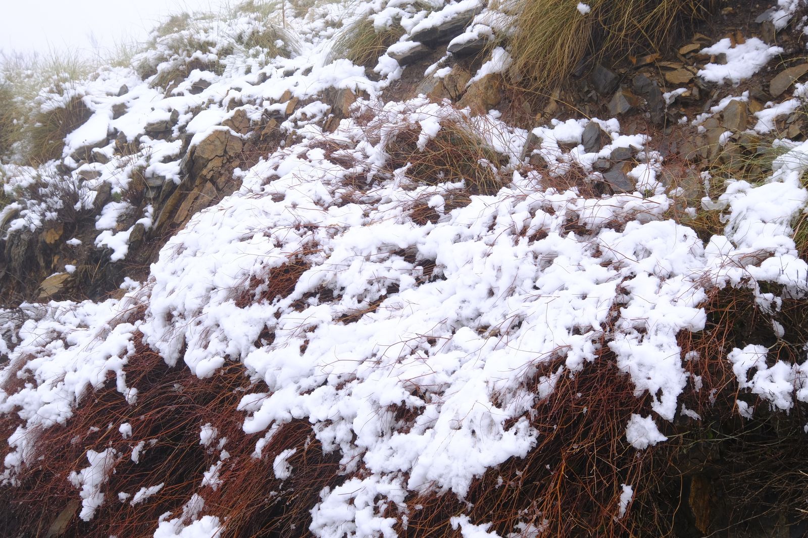 Fotogalería nevada en la Provincia de Almería