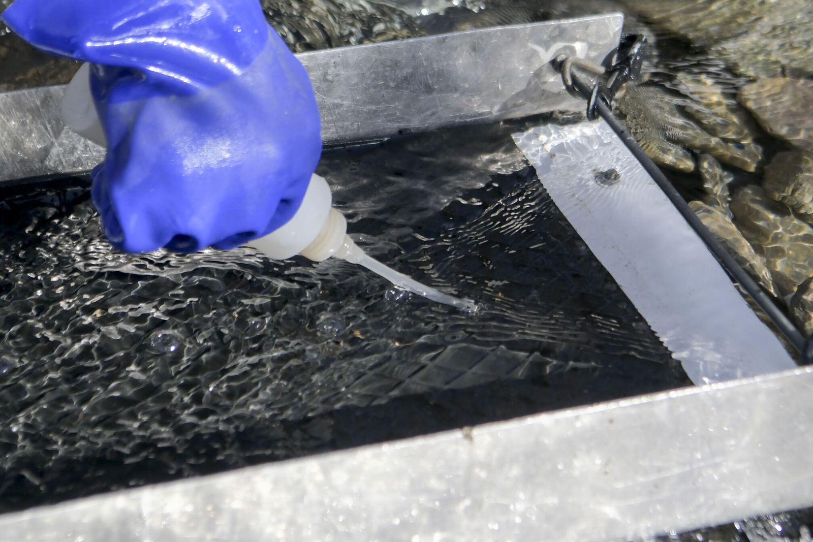 Así es el trabajo de Fernando Díaz, el buscador del 'oro olvidado' del río Genil