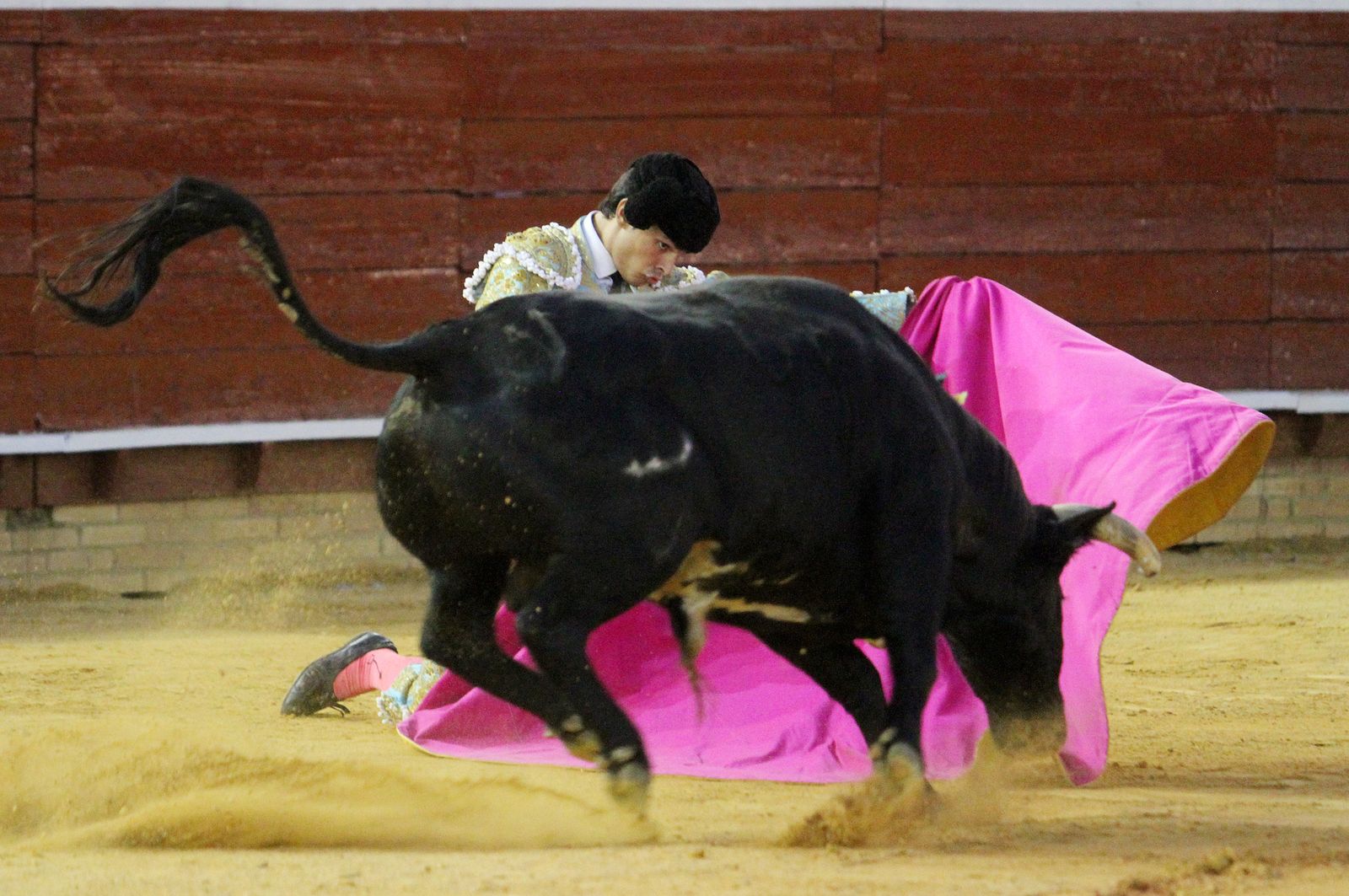 Juan Silva "Juanito" sale a hombros en la Plaza de toros La Merced, en imágenes