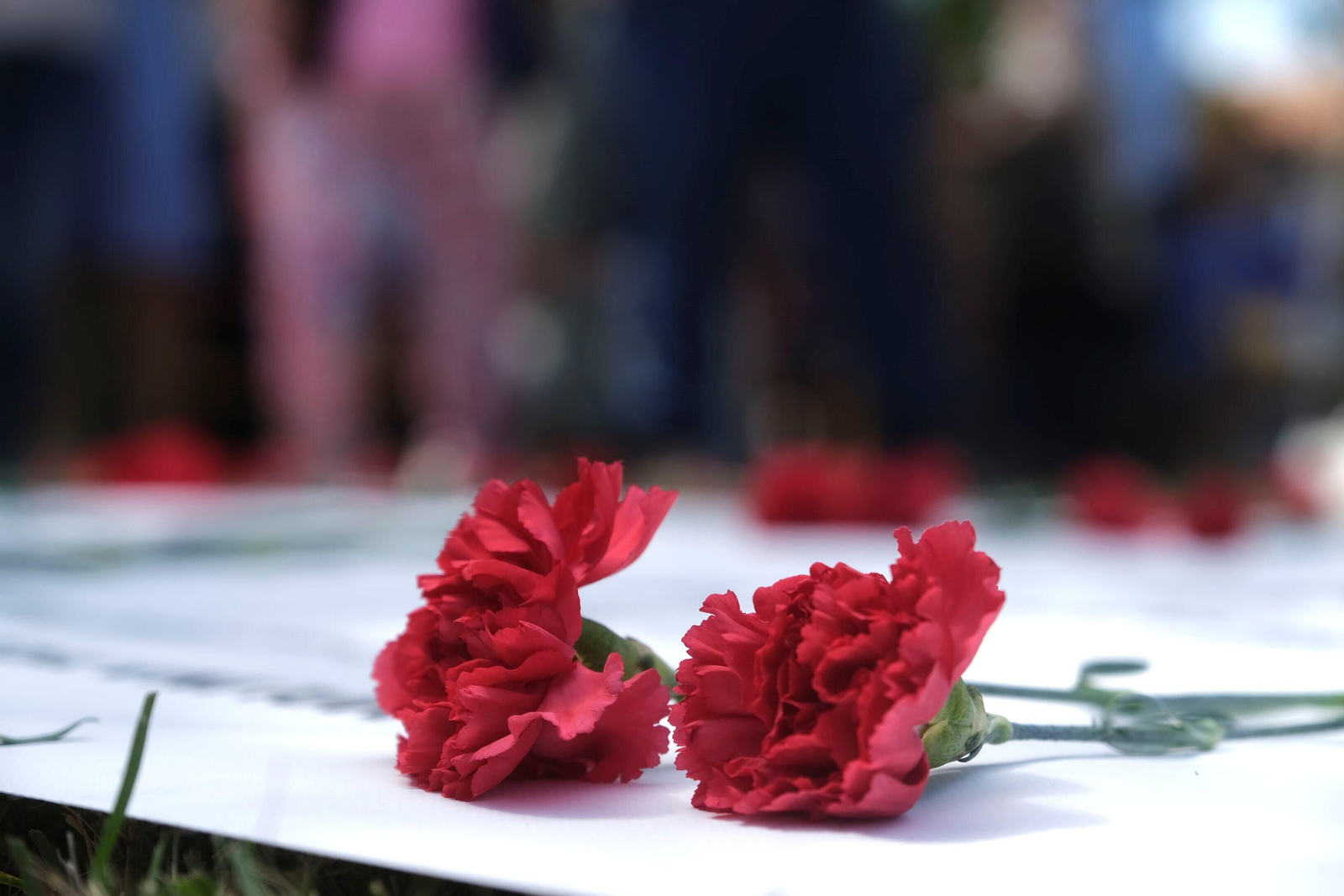 El homenaje a las víctimas del franquismo en Córdoba, en imágenes